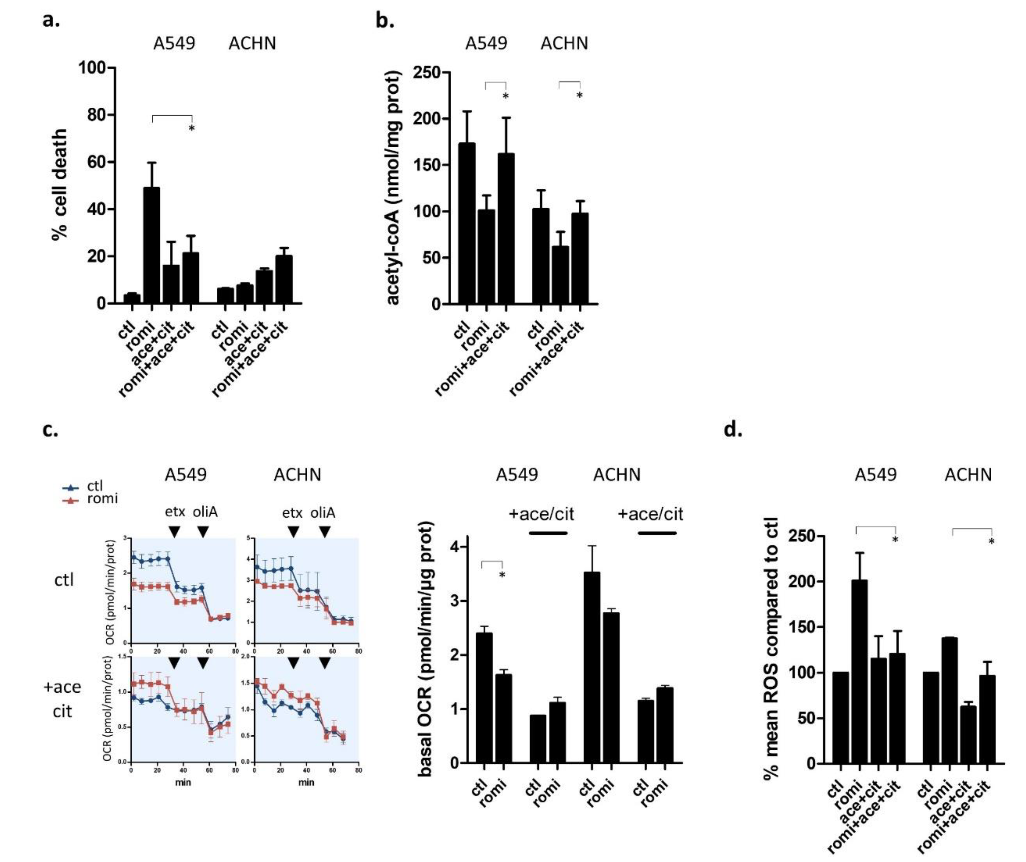 Cancers 14 02643 g005 Cancers 14 02643 g005