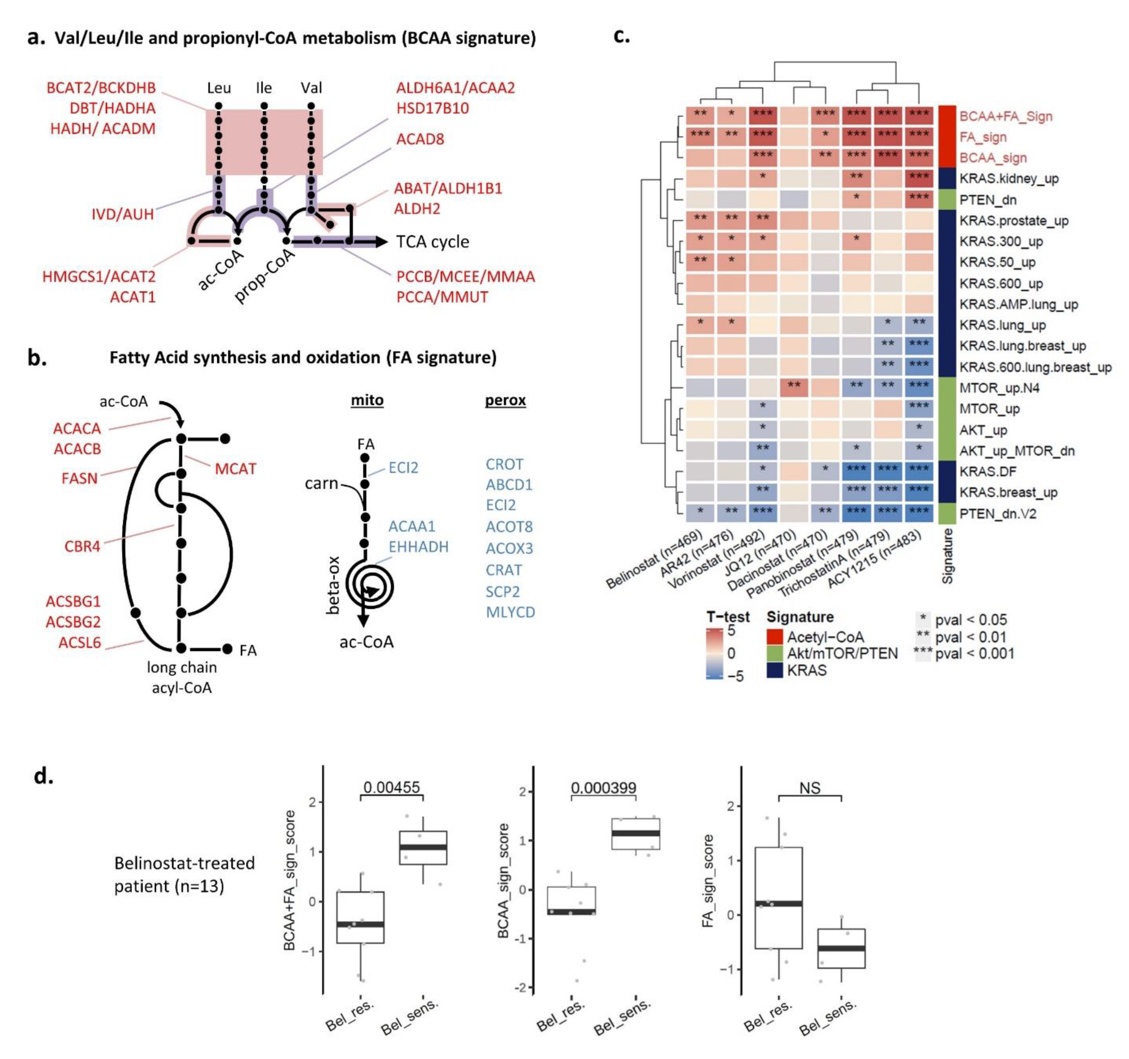 Cancers 14 02643 g006 Cancers 14 02643 g006