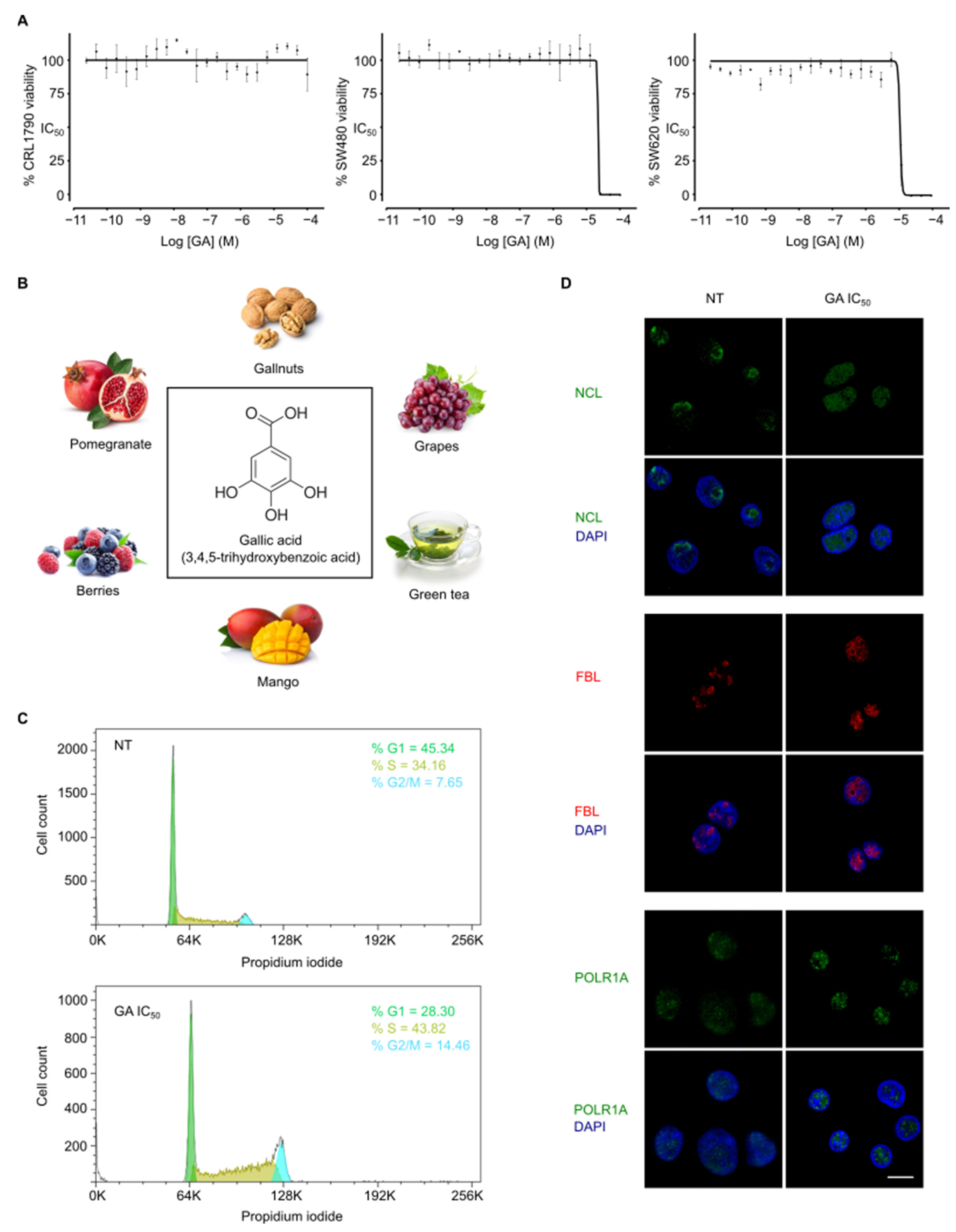 Cancers 14 02648 g001