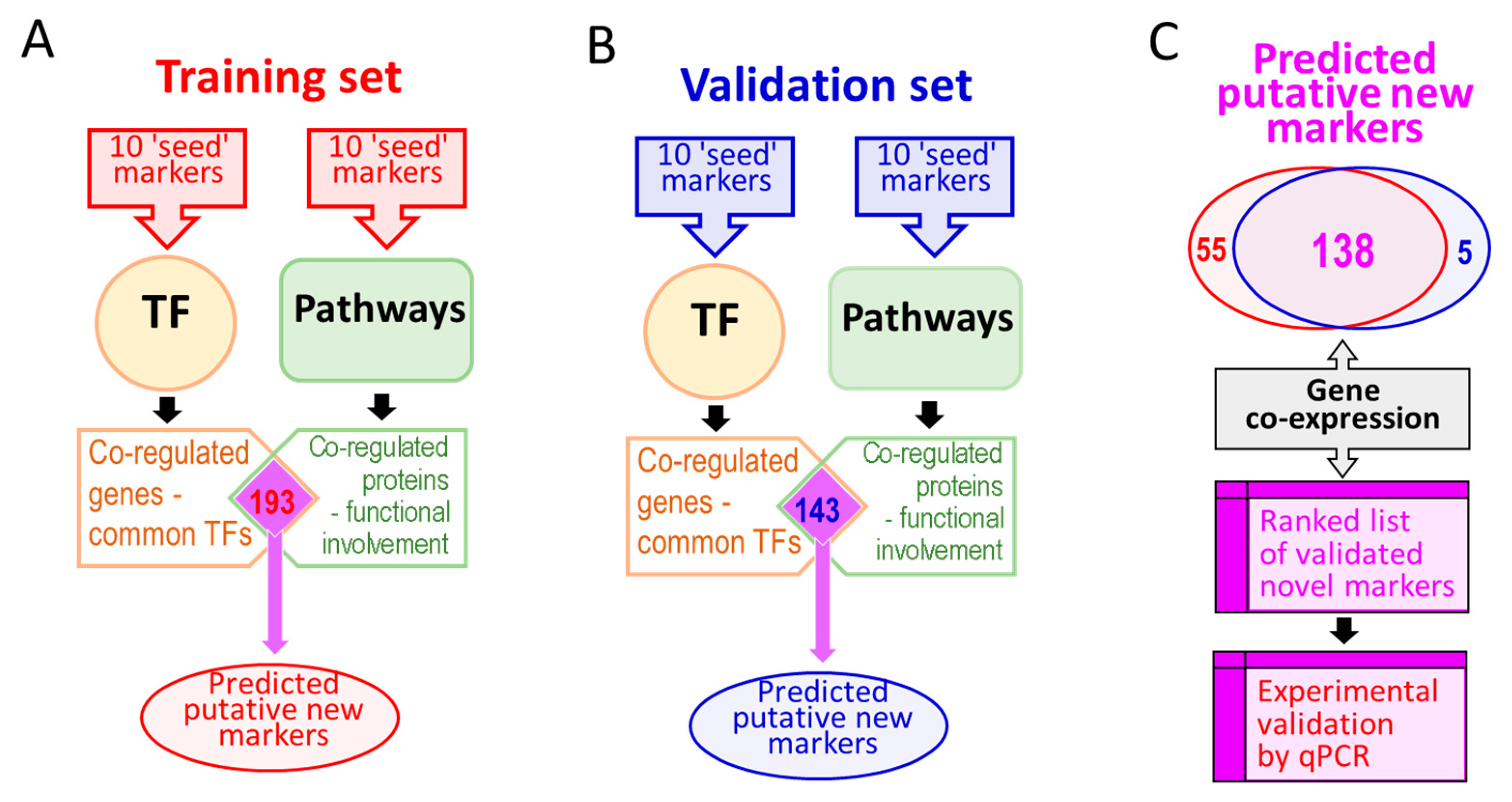 Cancers 14 02654 g001 Cancers 14 02654 g001