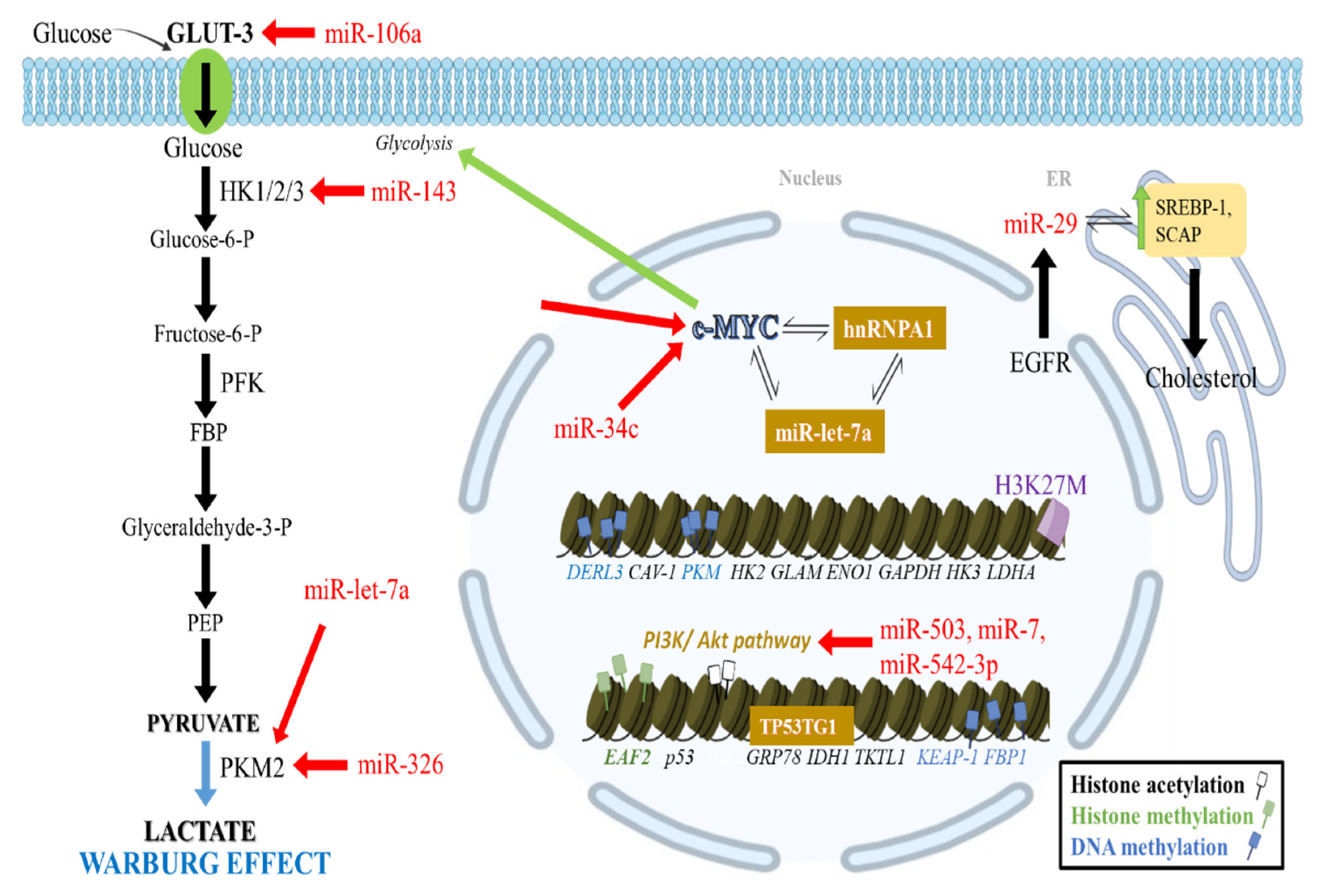 Cancers 14 02655 g001 Cancers 14 02655 g001