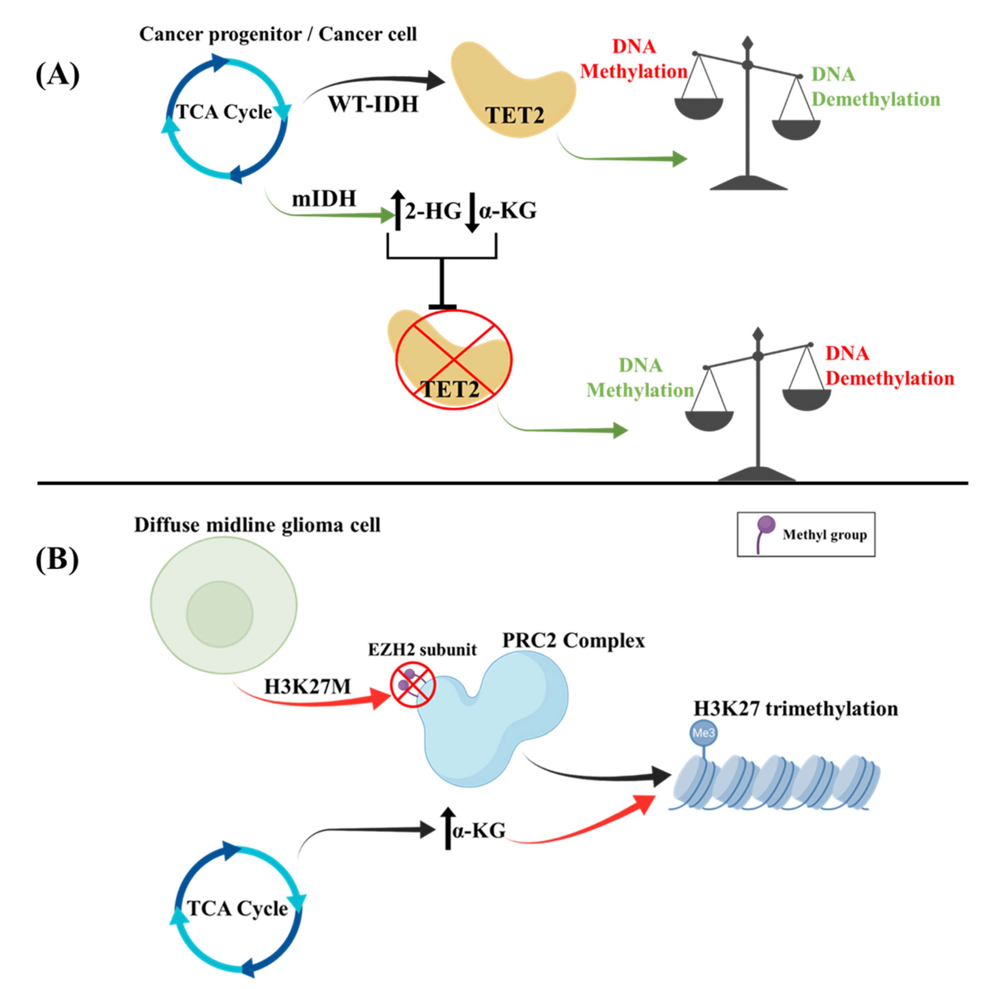 Cancers 14 02655 g002 Cancers 14 02655 g002