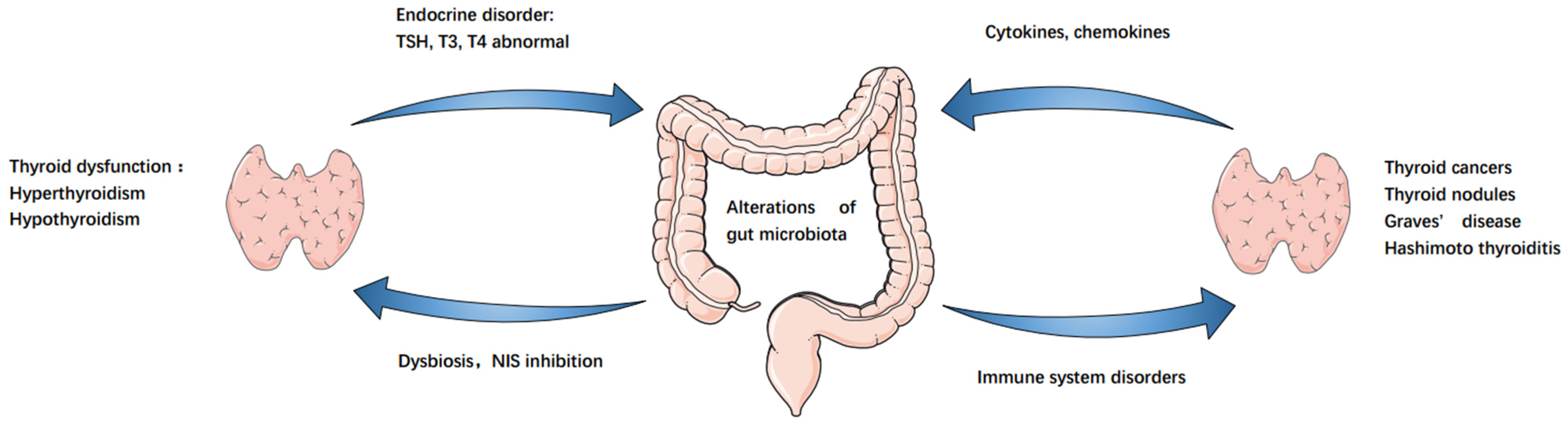 Cancers 14 02656 g001