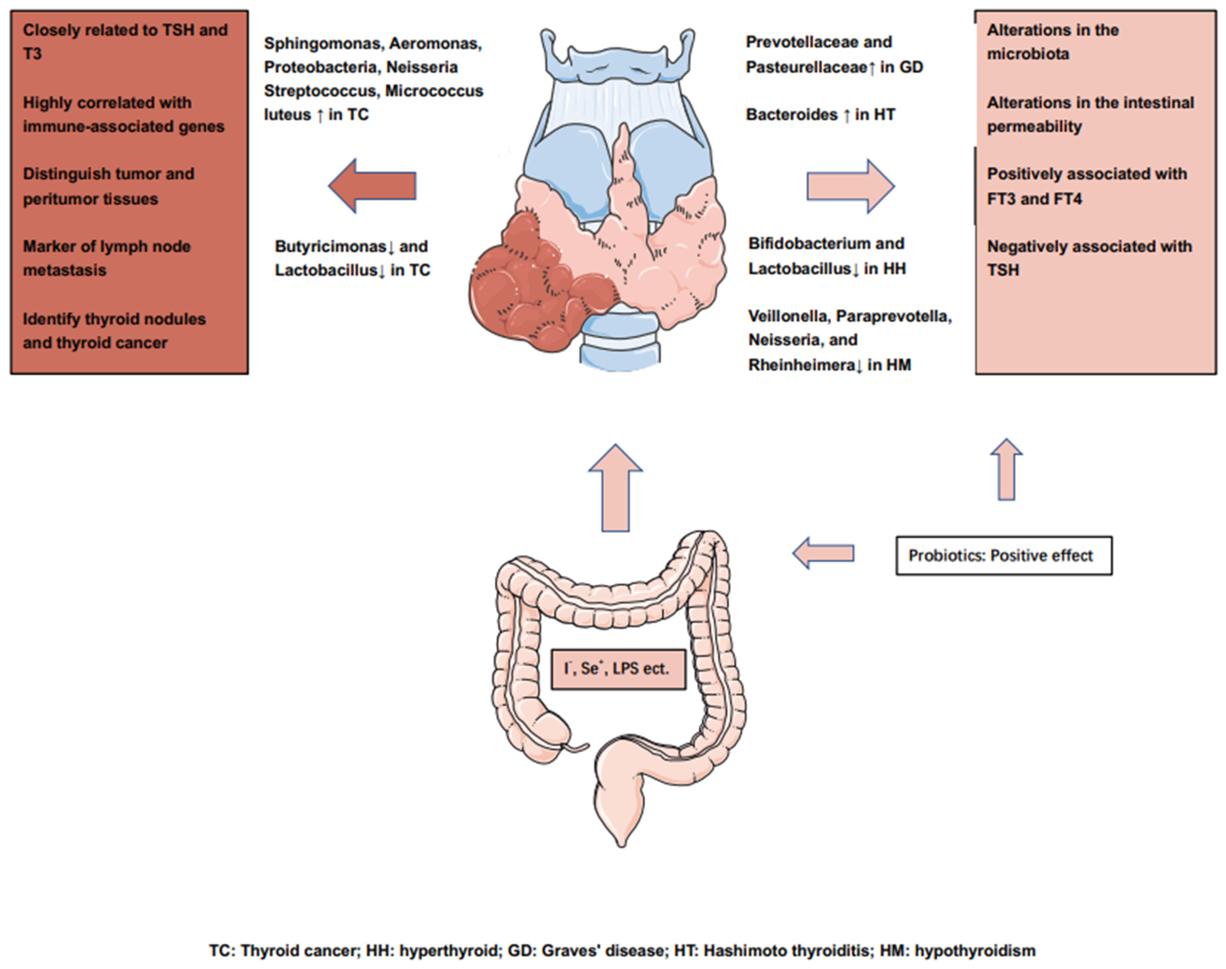 Cancers 14 02656 g002