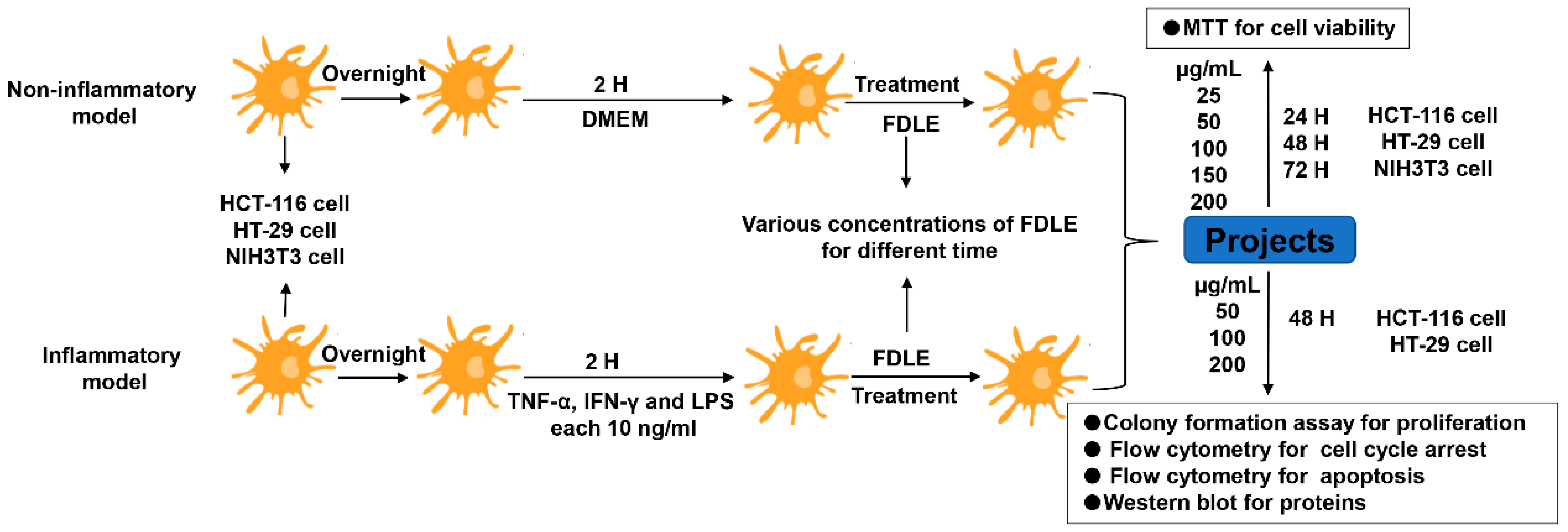 Cancers 14 02665 g001