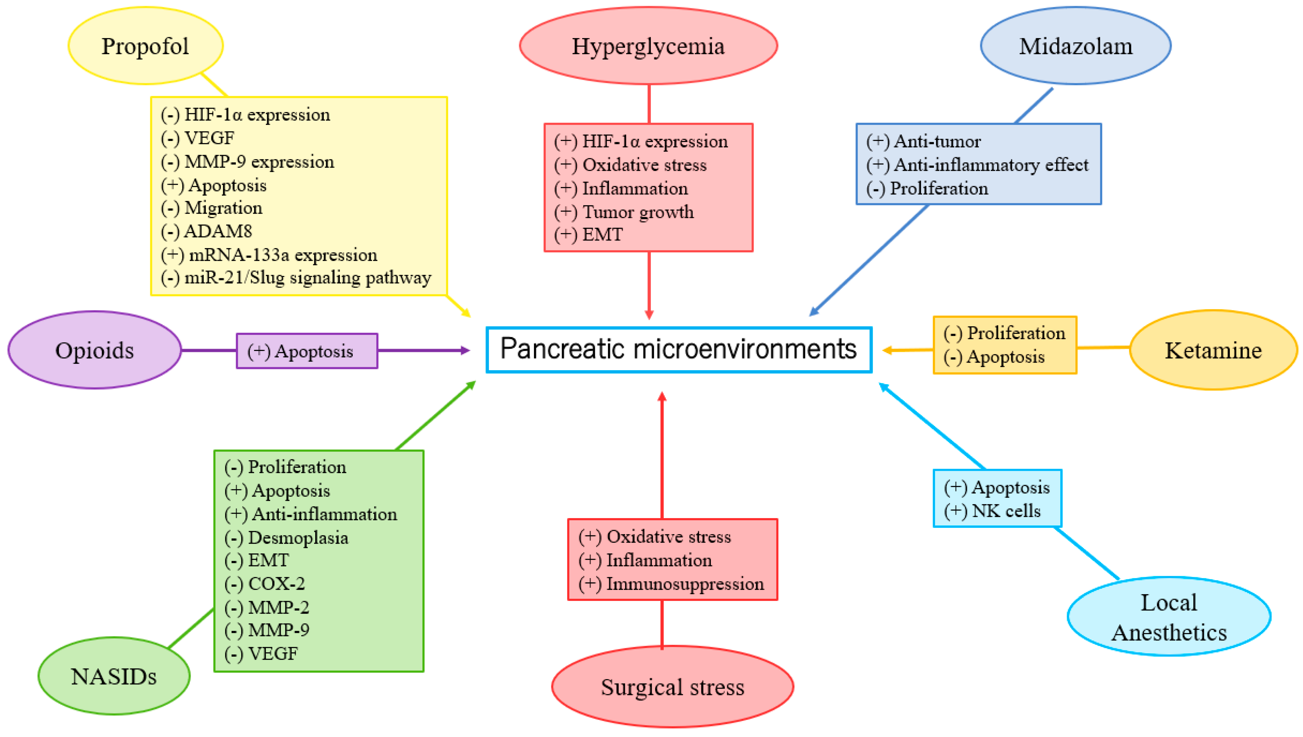 Newsletter January 2022: Editorial – Is anaesthesia mortality a source of  stress for the anaesthesiologist?