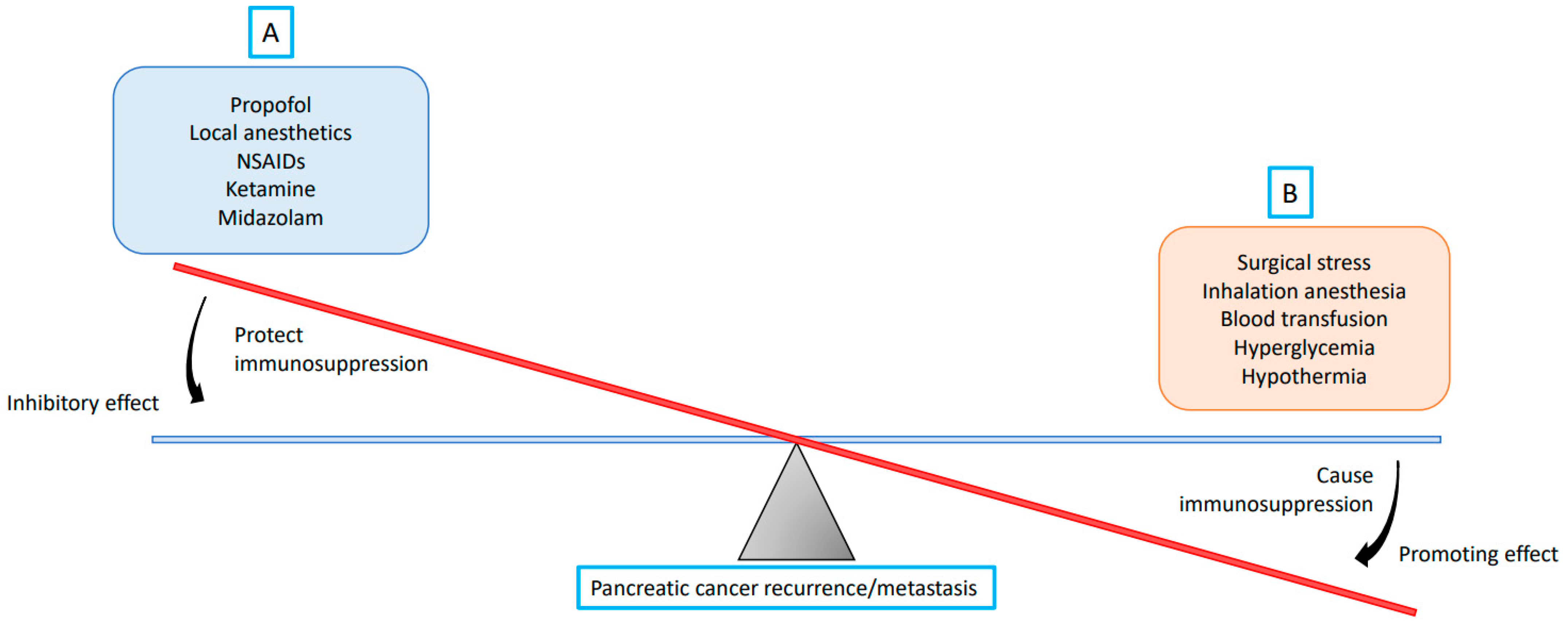 Cancers 14 02684 g002