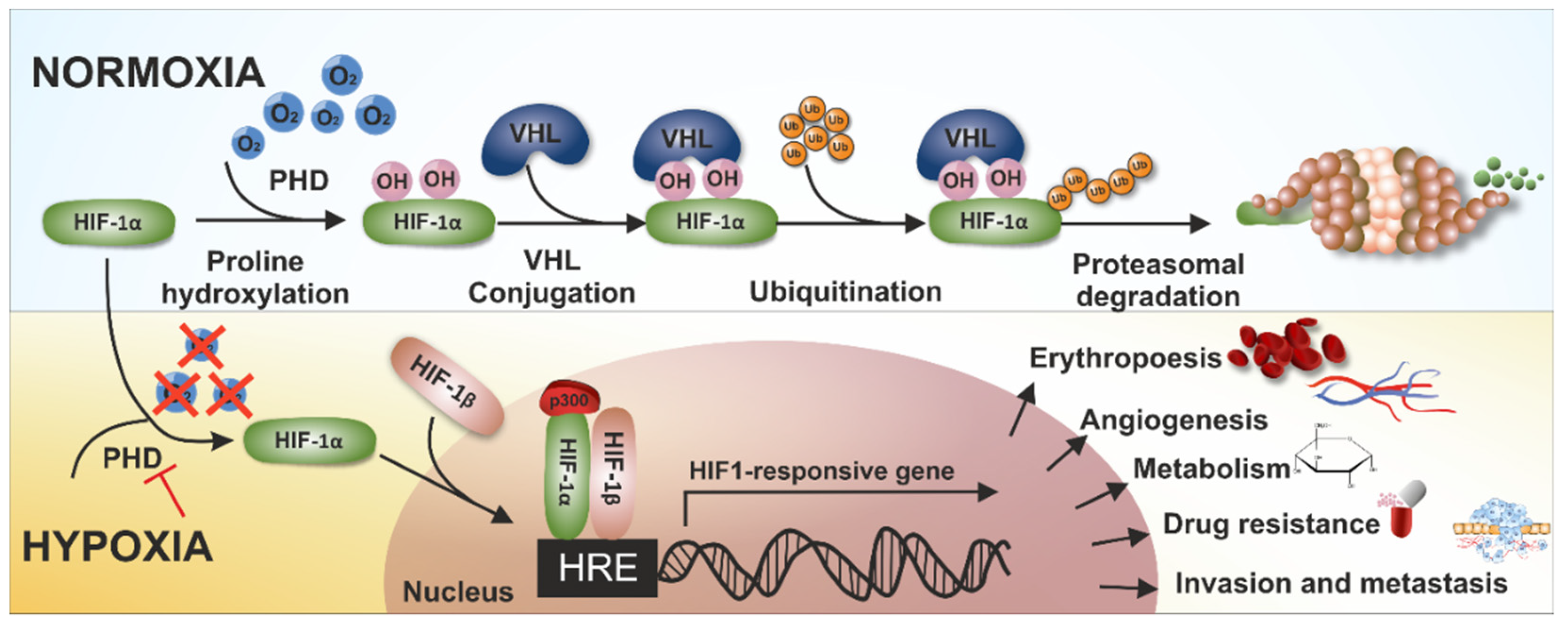 Cancers 14 02686 g001 Cancers 14 02686 g001
