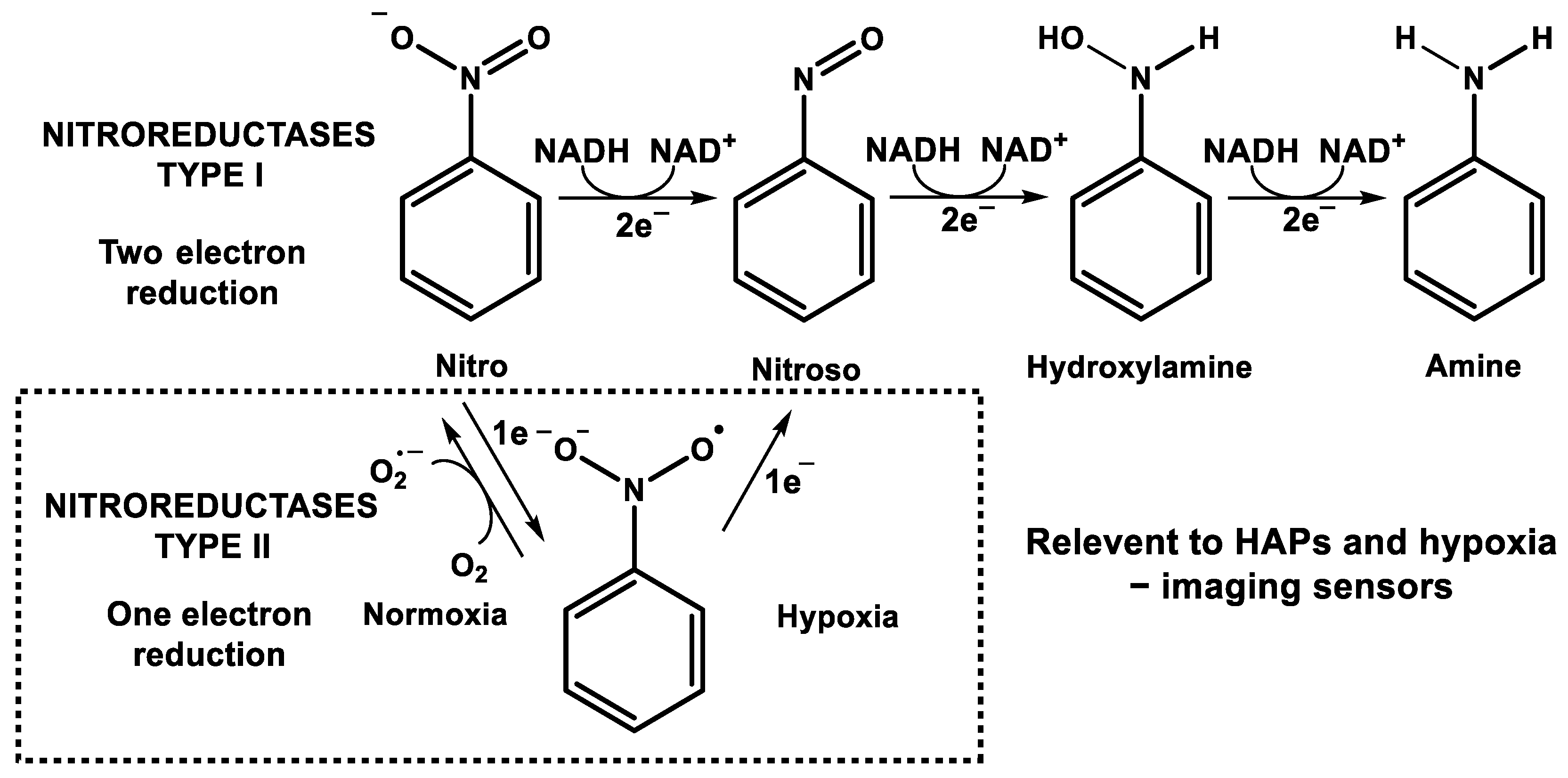 Cancers 14 02686 g003 Cancers 14 02686 g003