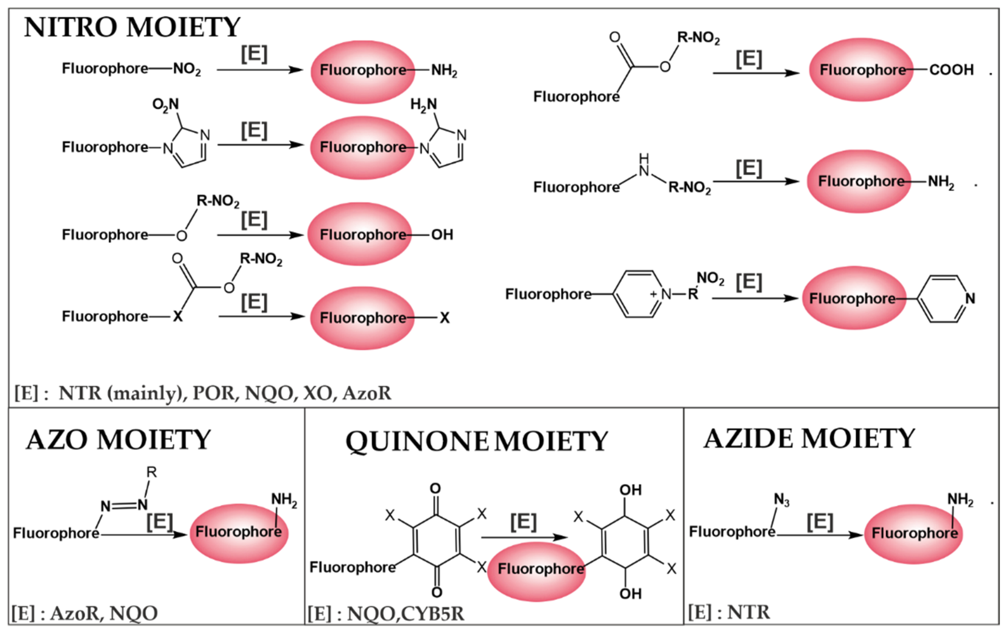Cancers 14 02686 g004 Cancers 14 02686 g004