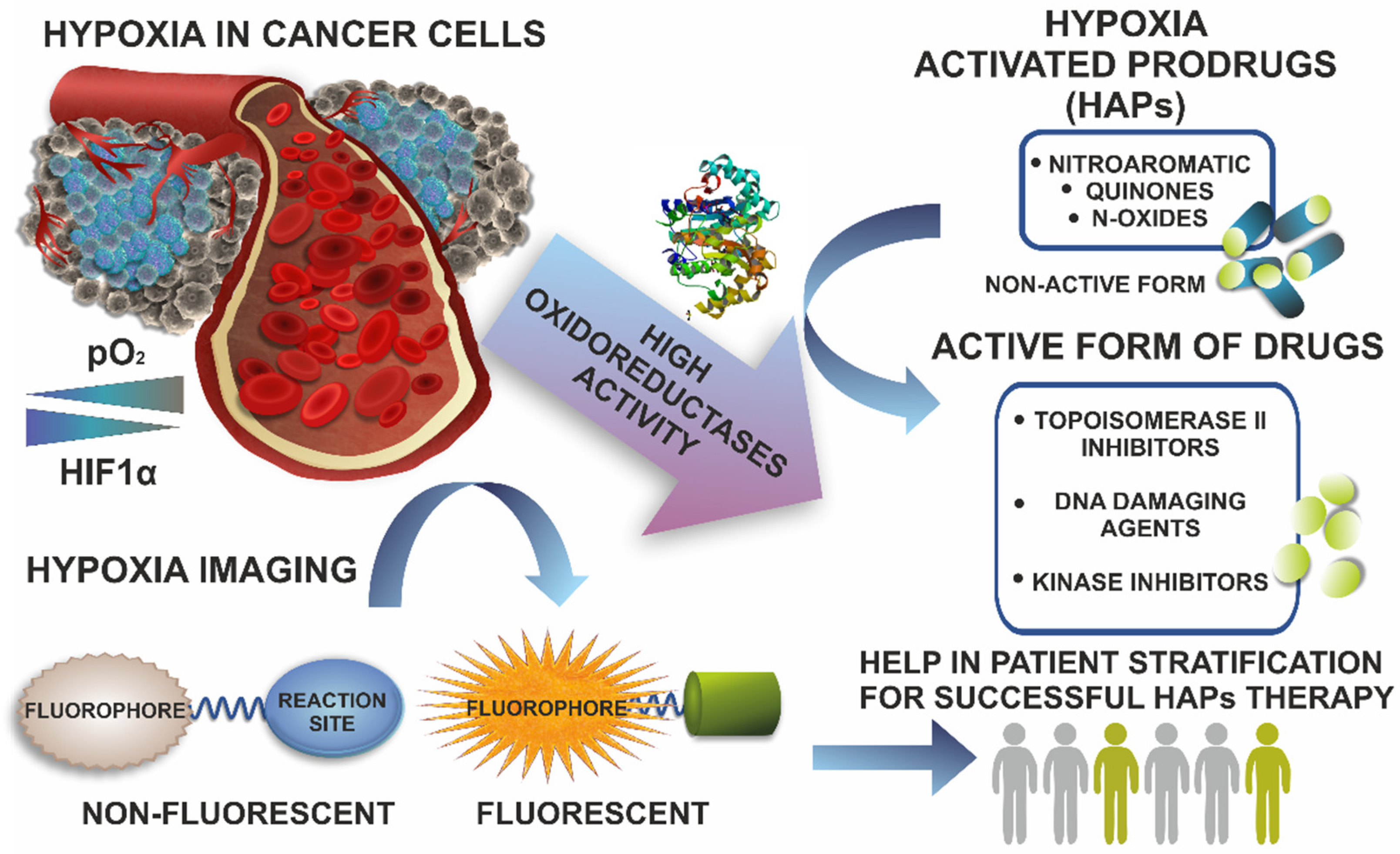 Cancers 14 02686 g006 Cancers 14 02686 g006