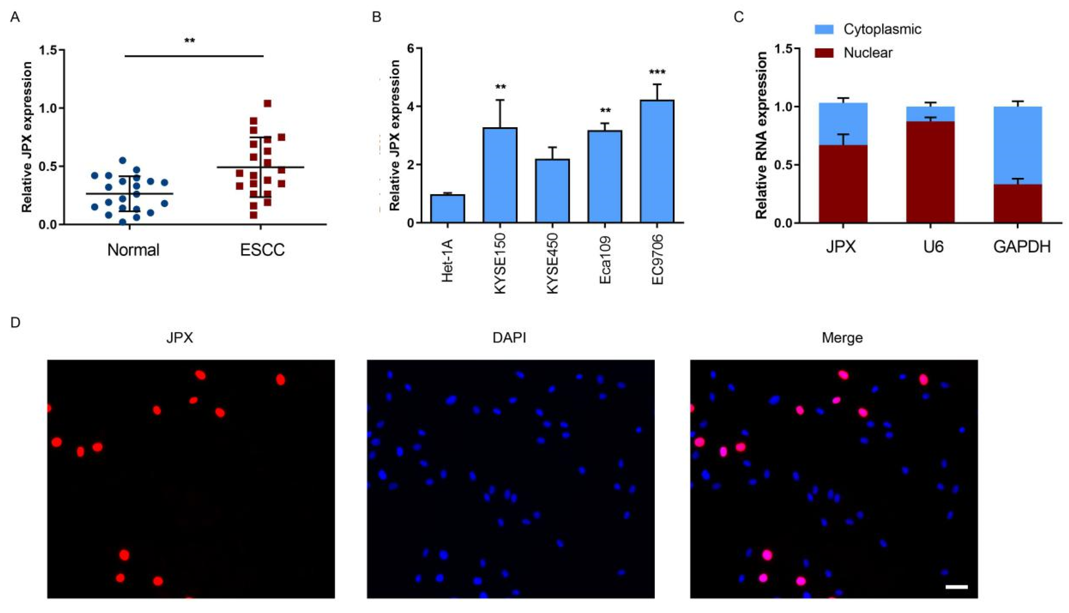 Cancers 14 02713 g001