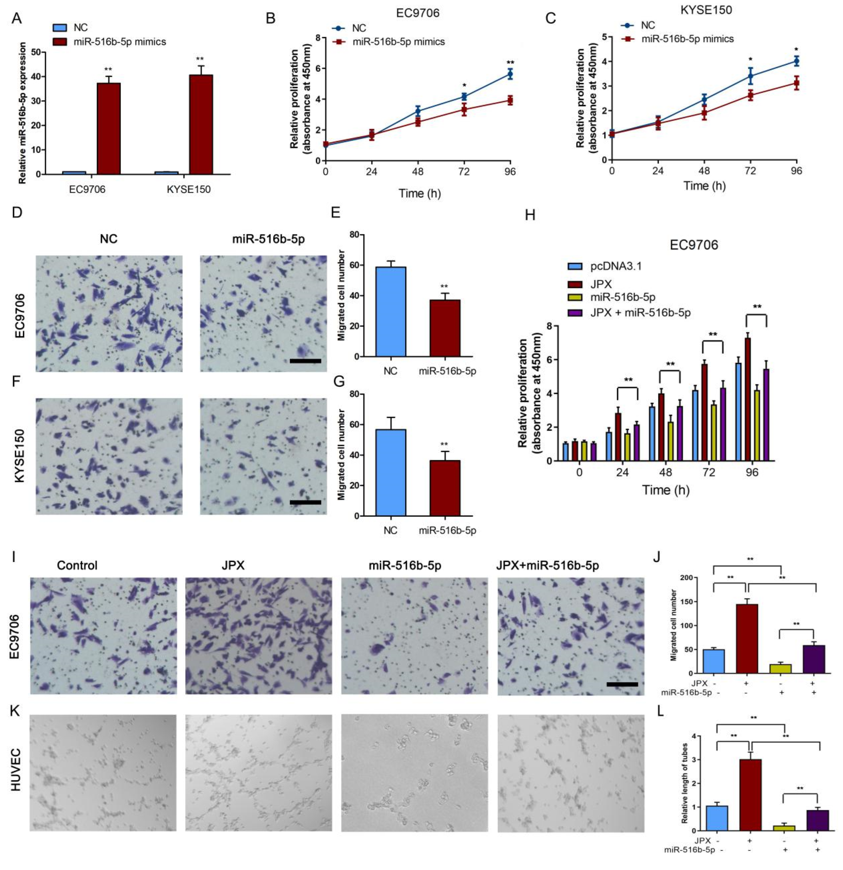 Cancers 14 02713 g005