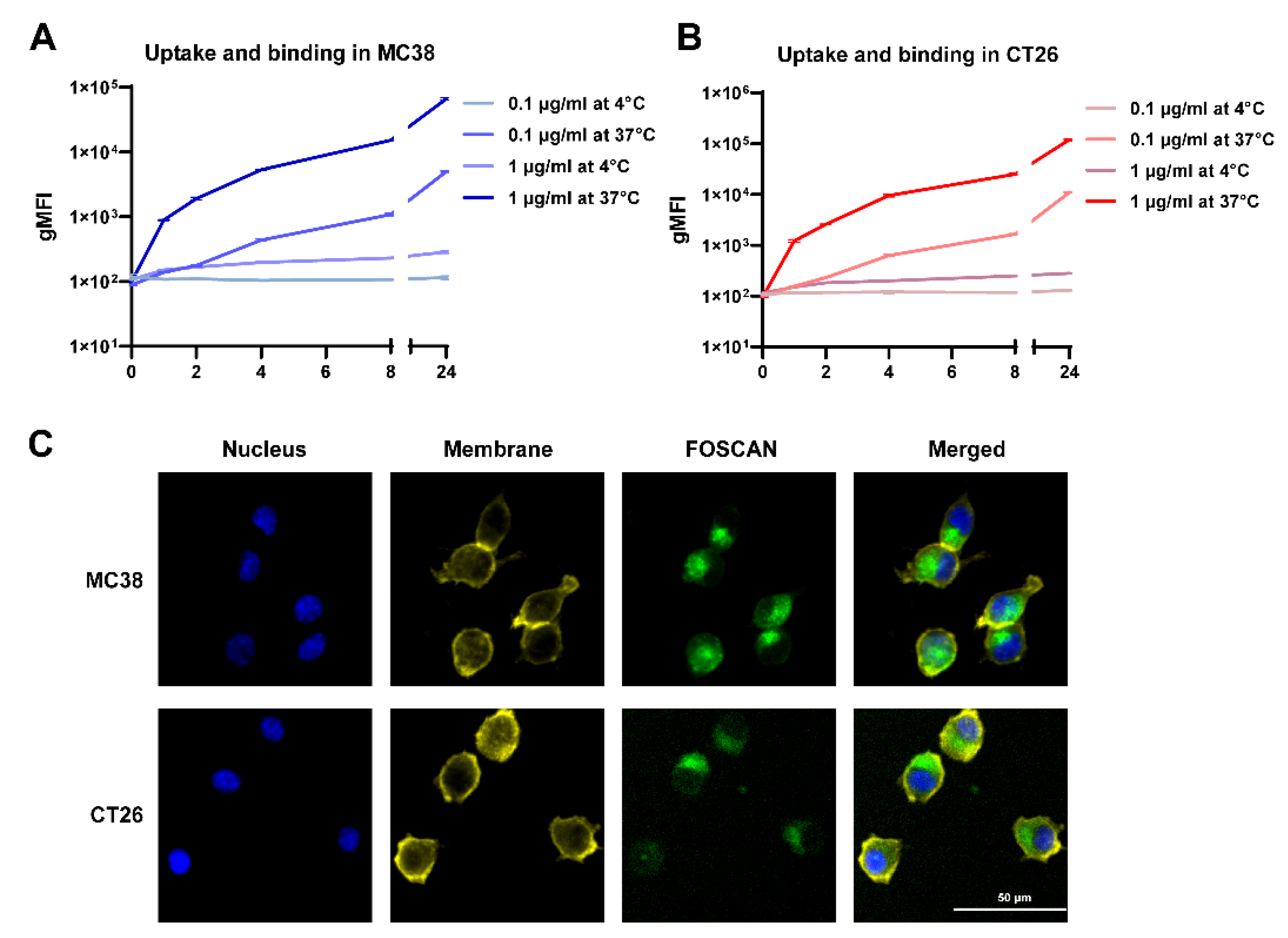 Cancers 14 02724 g001