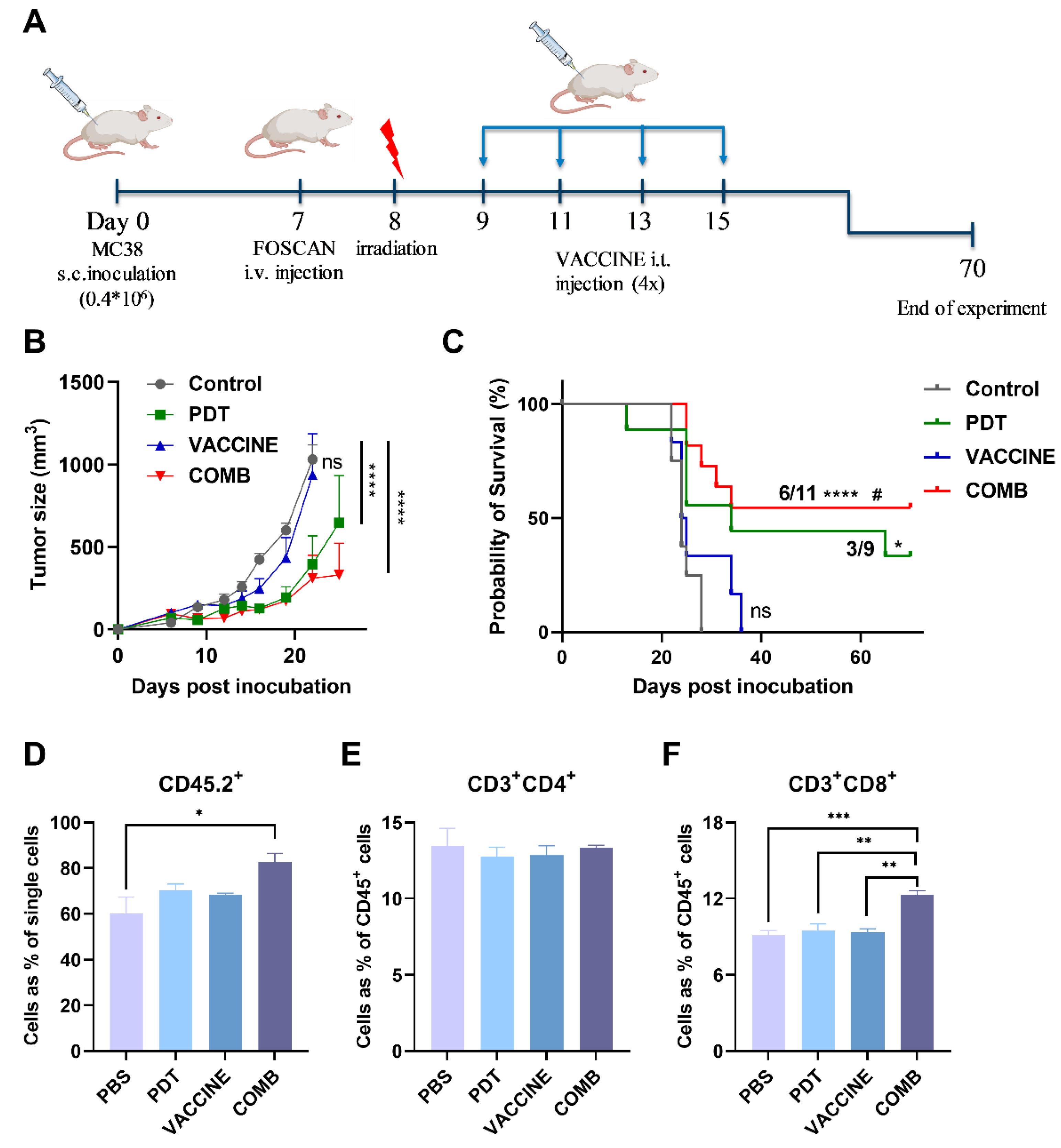 Cancers 14 02724 g005