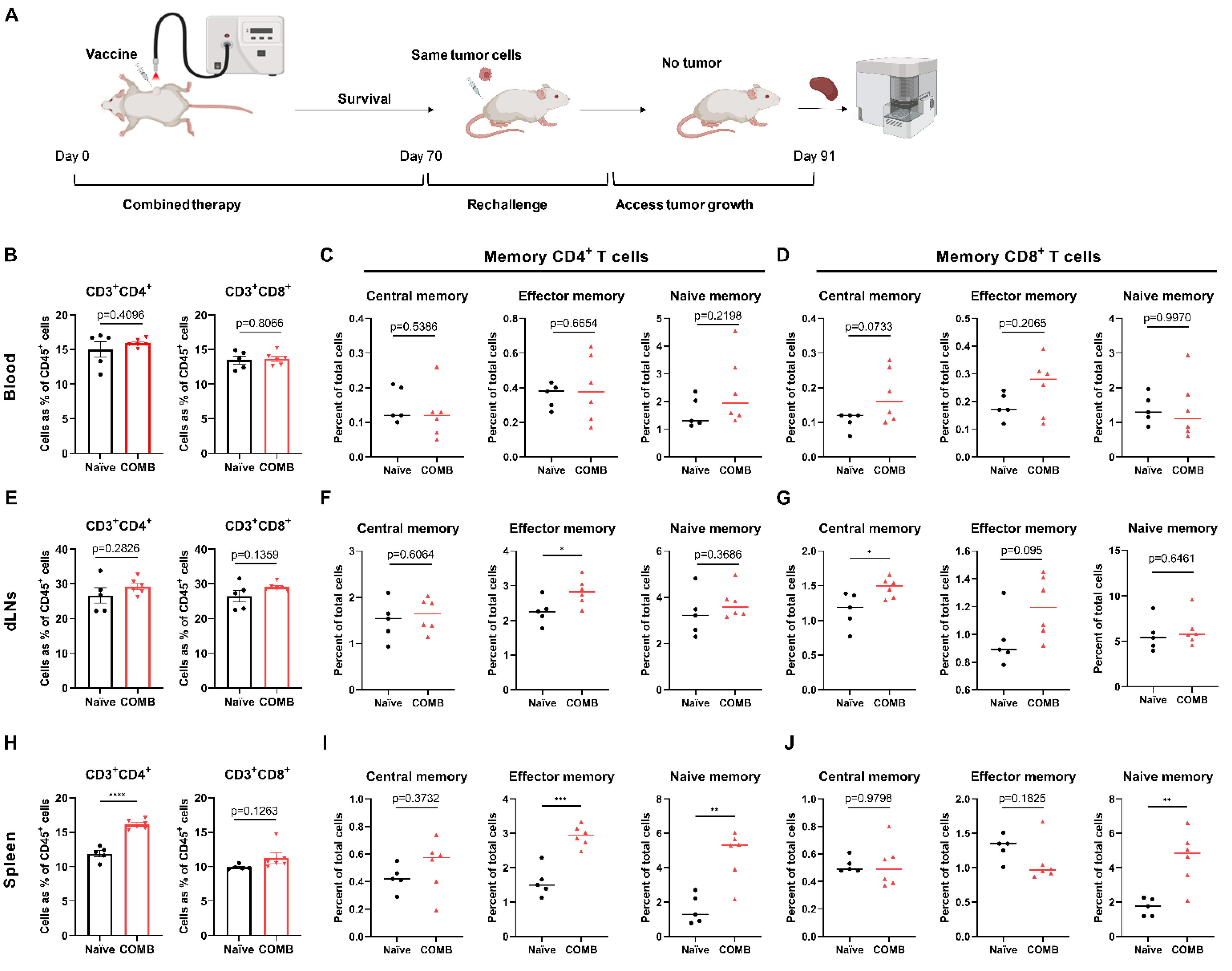 Cancers 14 02724 g007