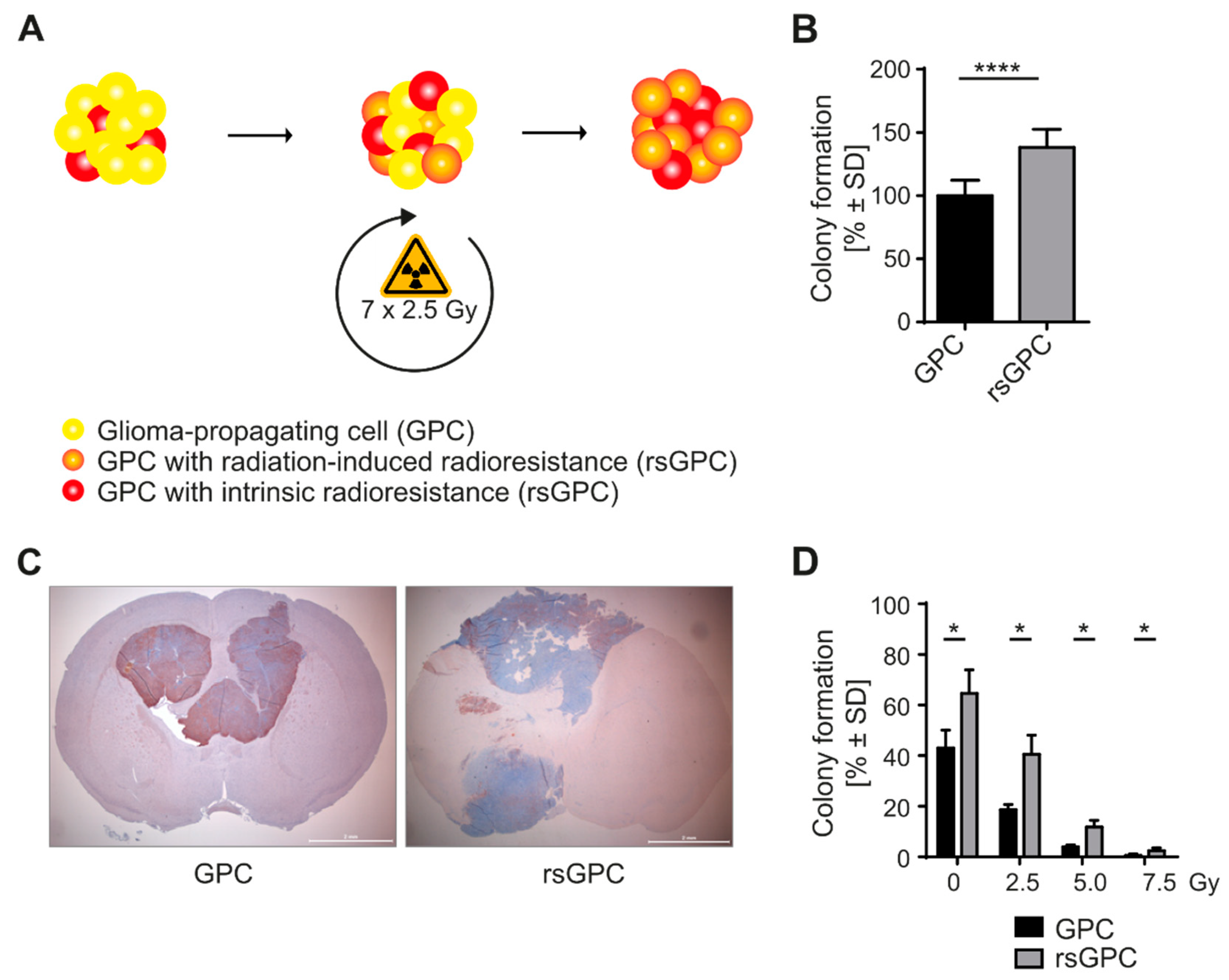 Cancers 14 02728 g001 Cancers 14 02728 g001