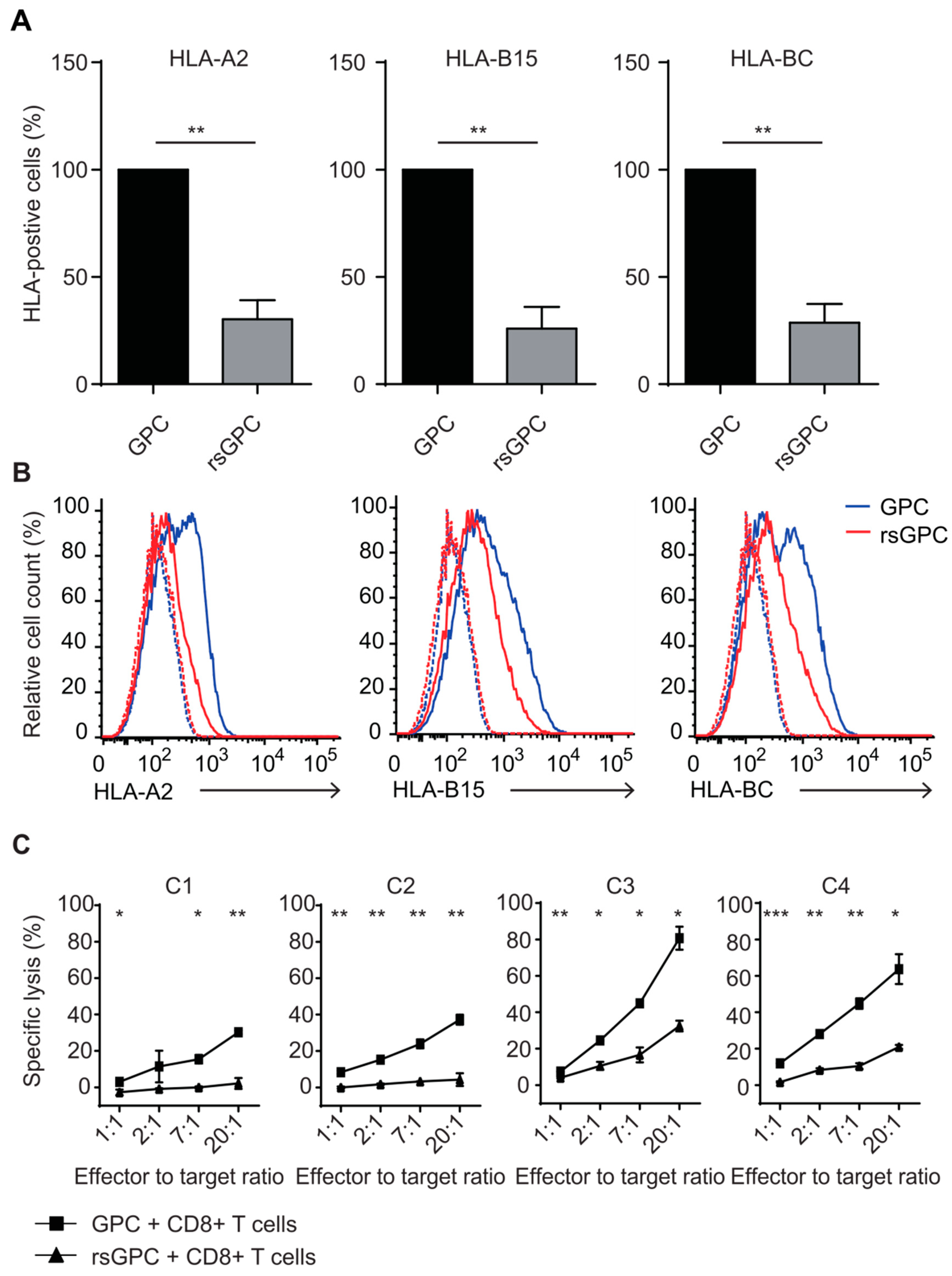 Cancers 14 02728 g003 Cancers 14 02728 g003