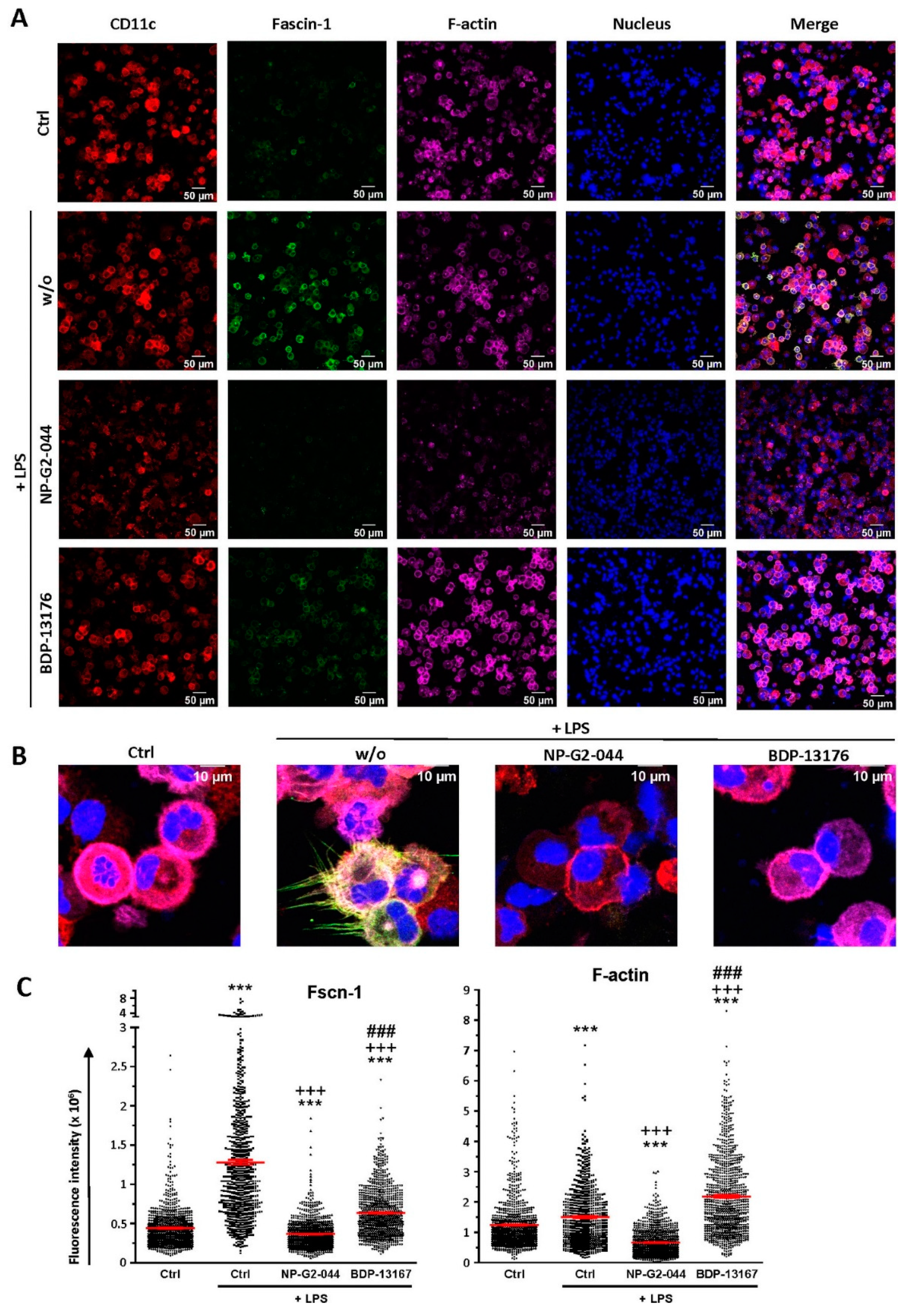 Cancers 14 02738 g003