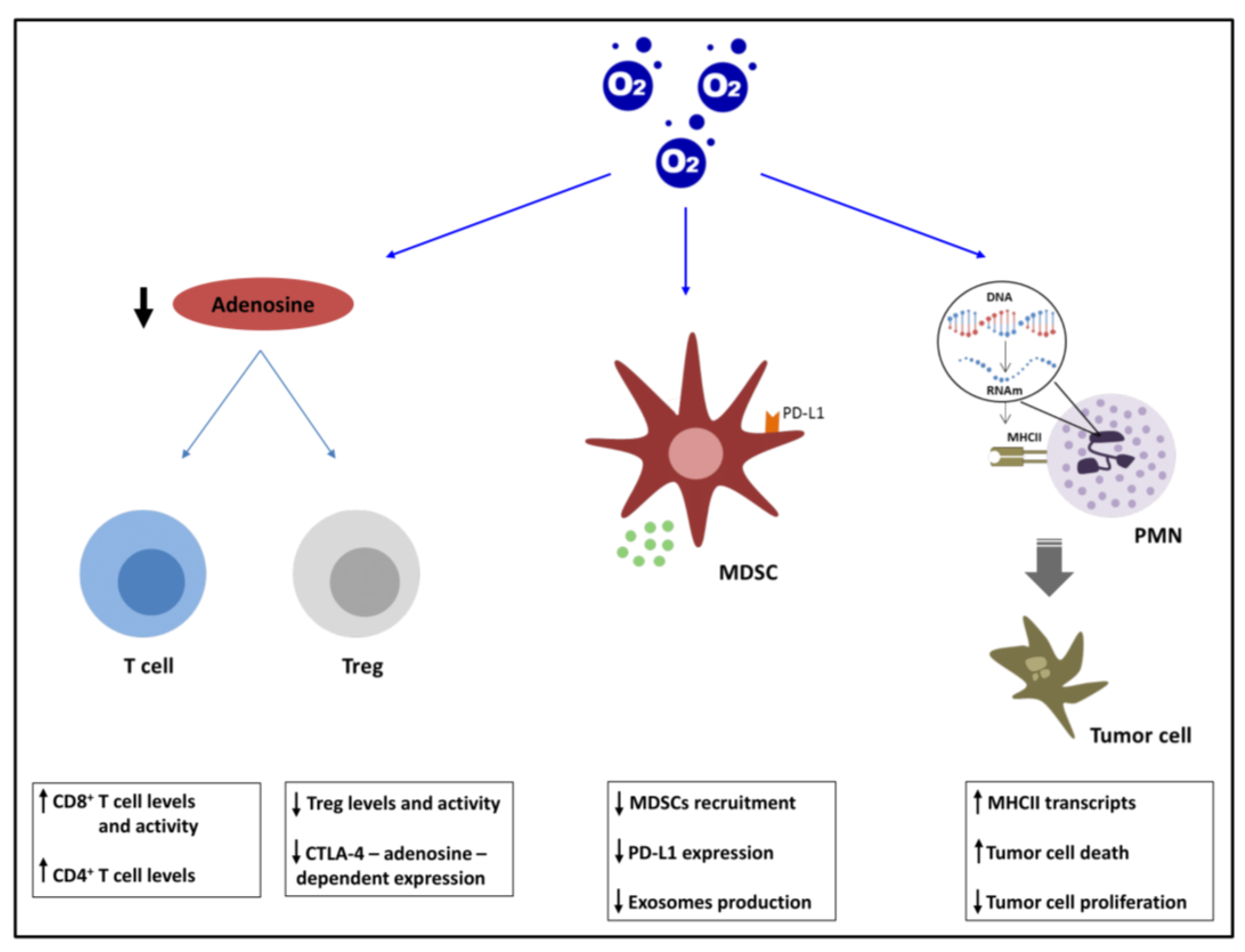 Cancers 14 02740 g002