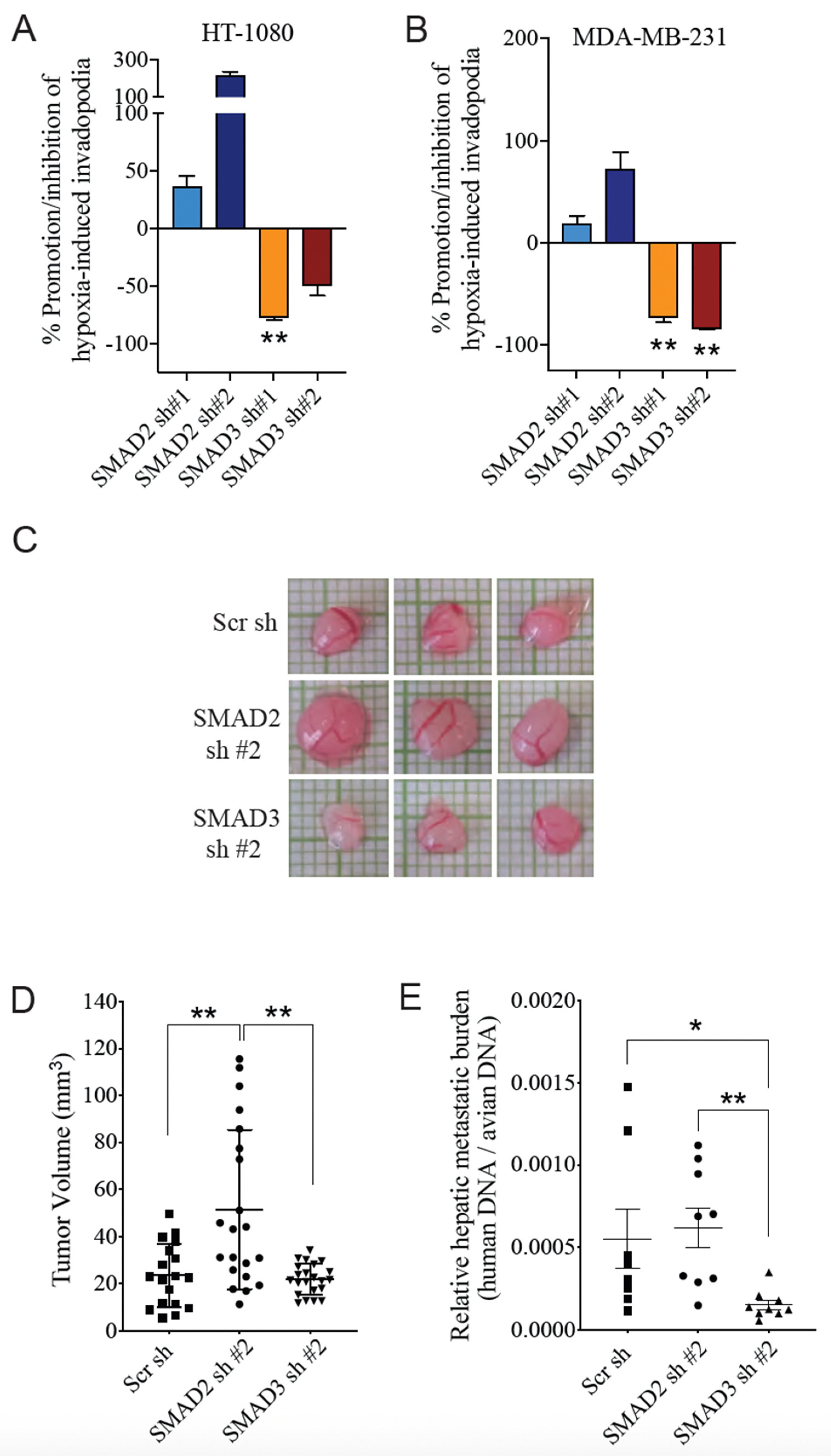 Cancers 14 02751 g004
