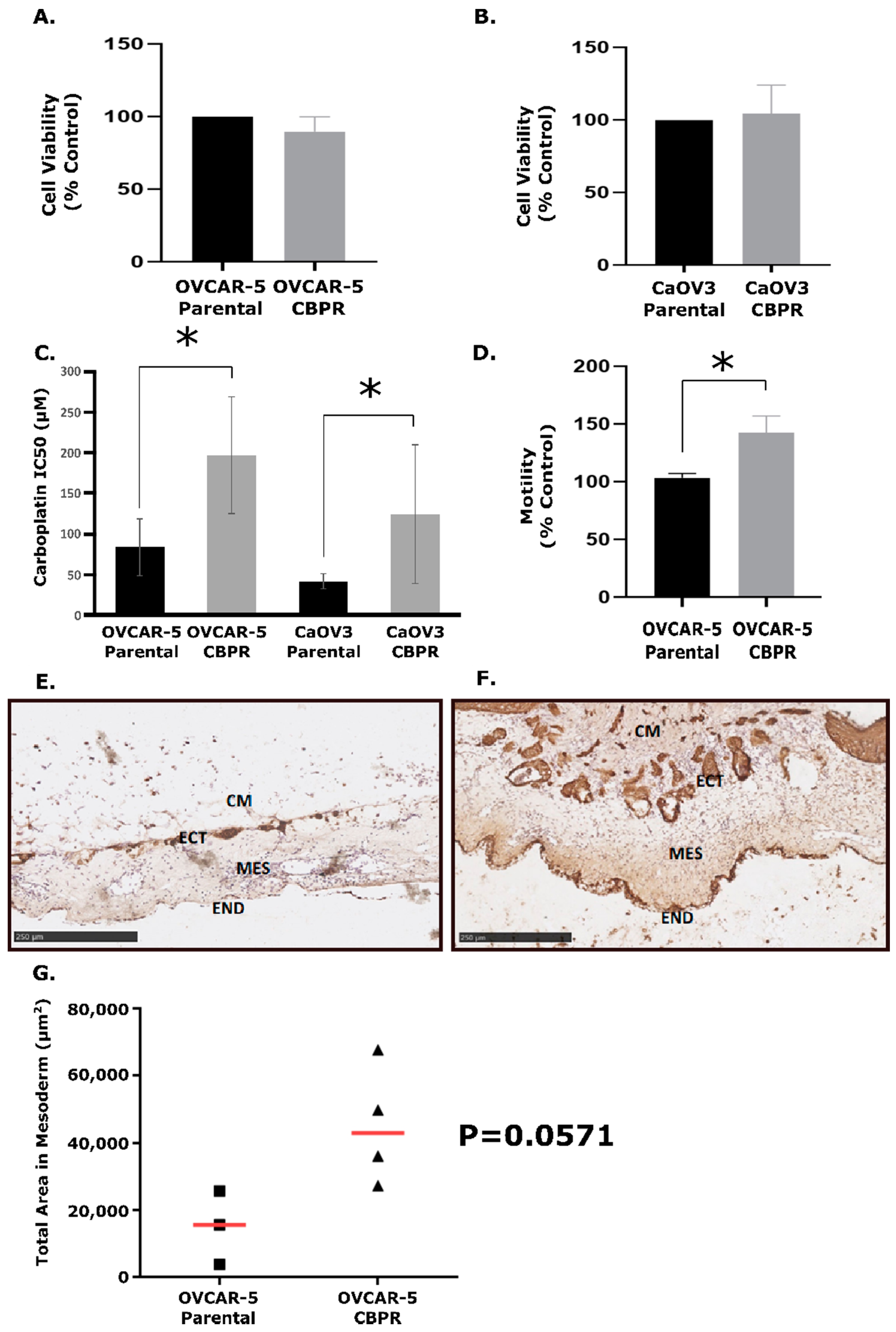 Cancers 14 02763 g001 550