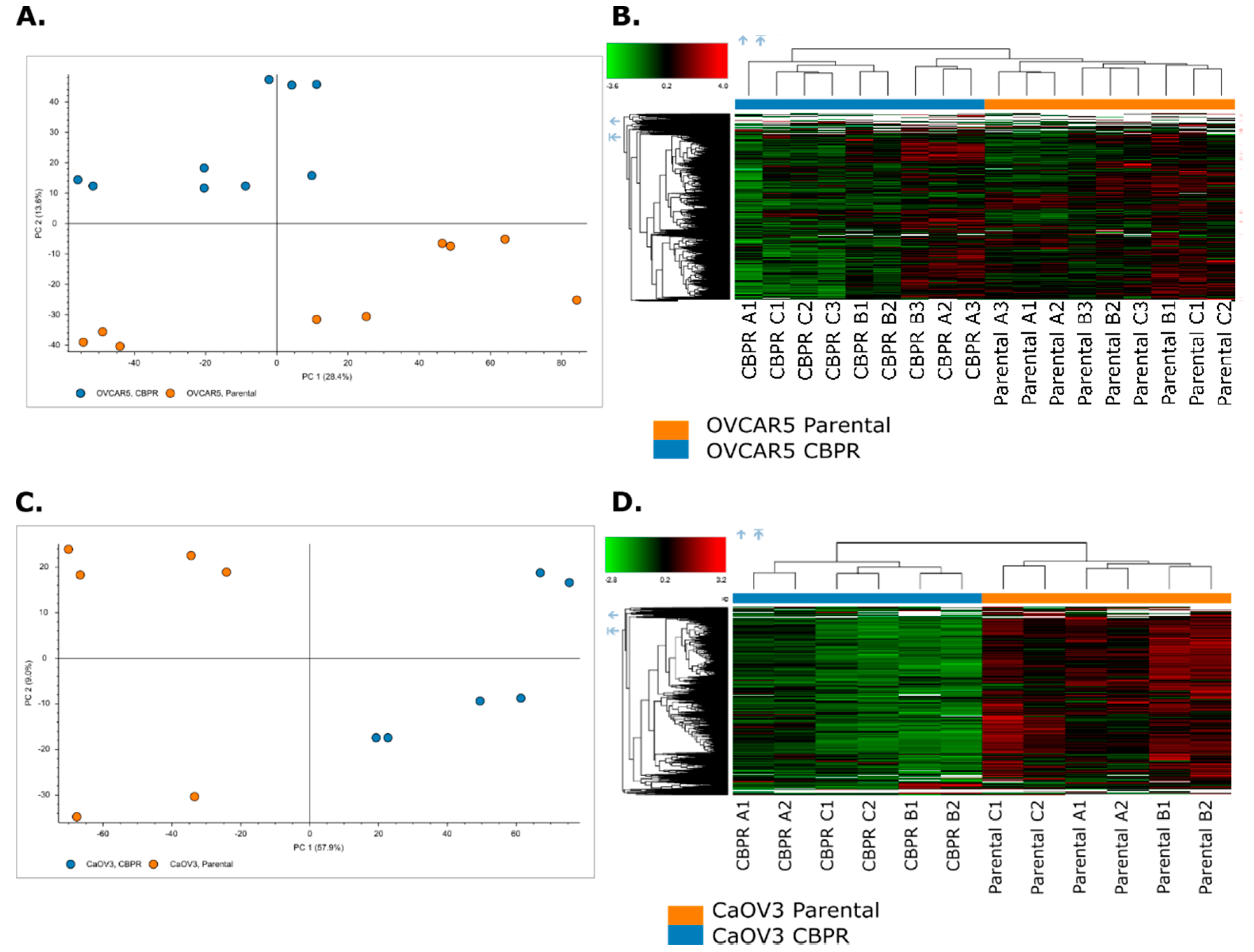 Cancers 14 02763 g005 550