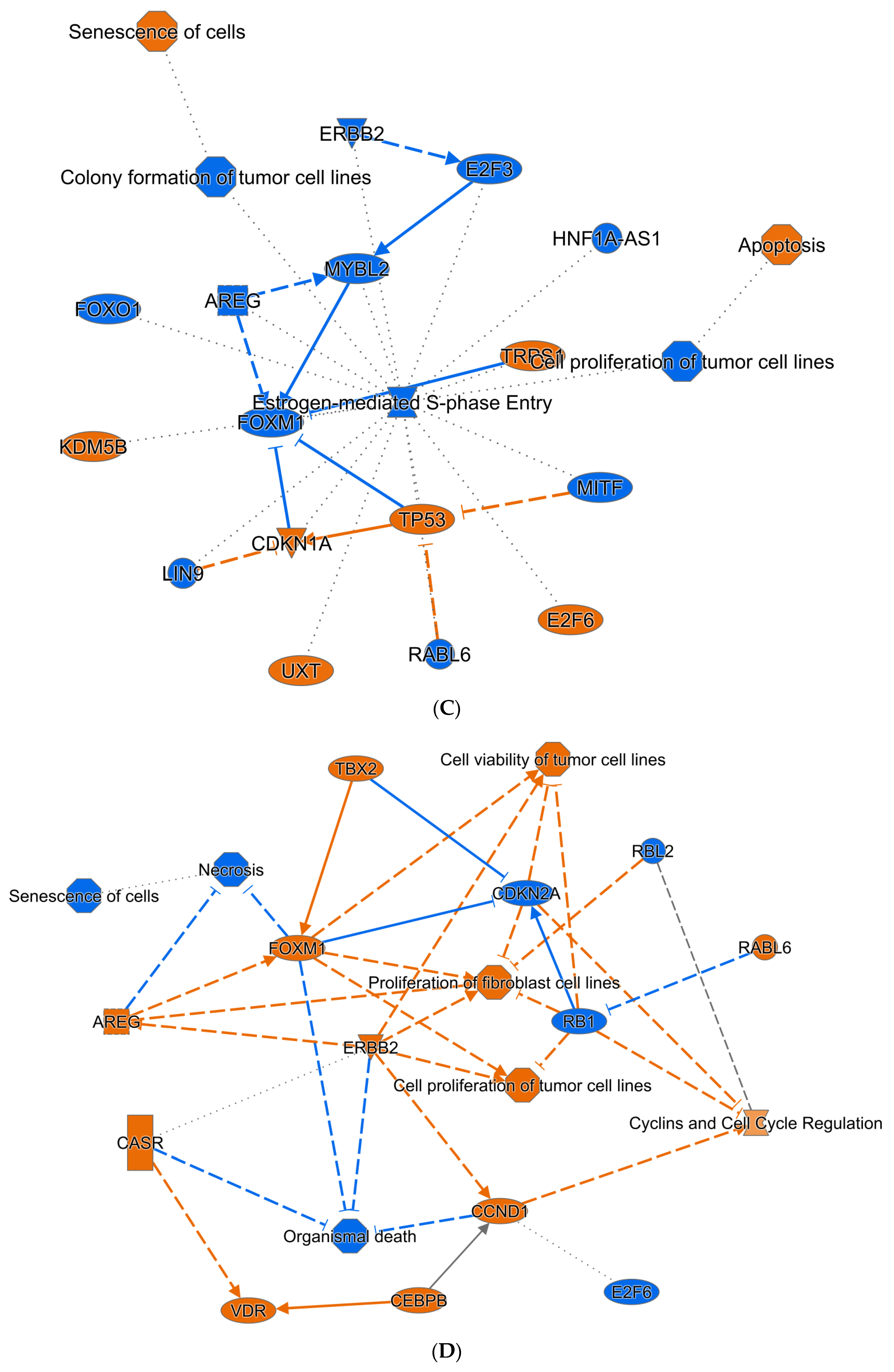 Cancers 14 02788 g004b