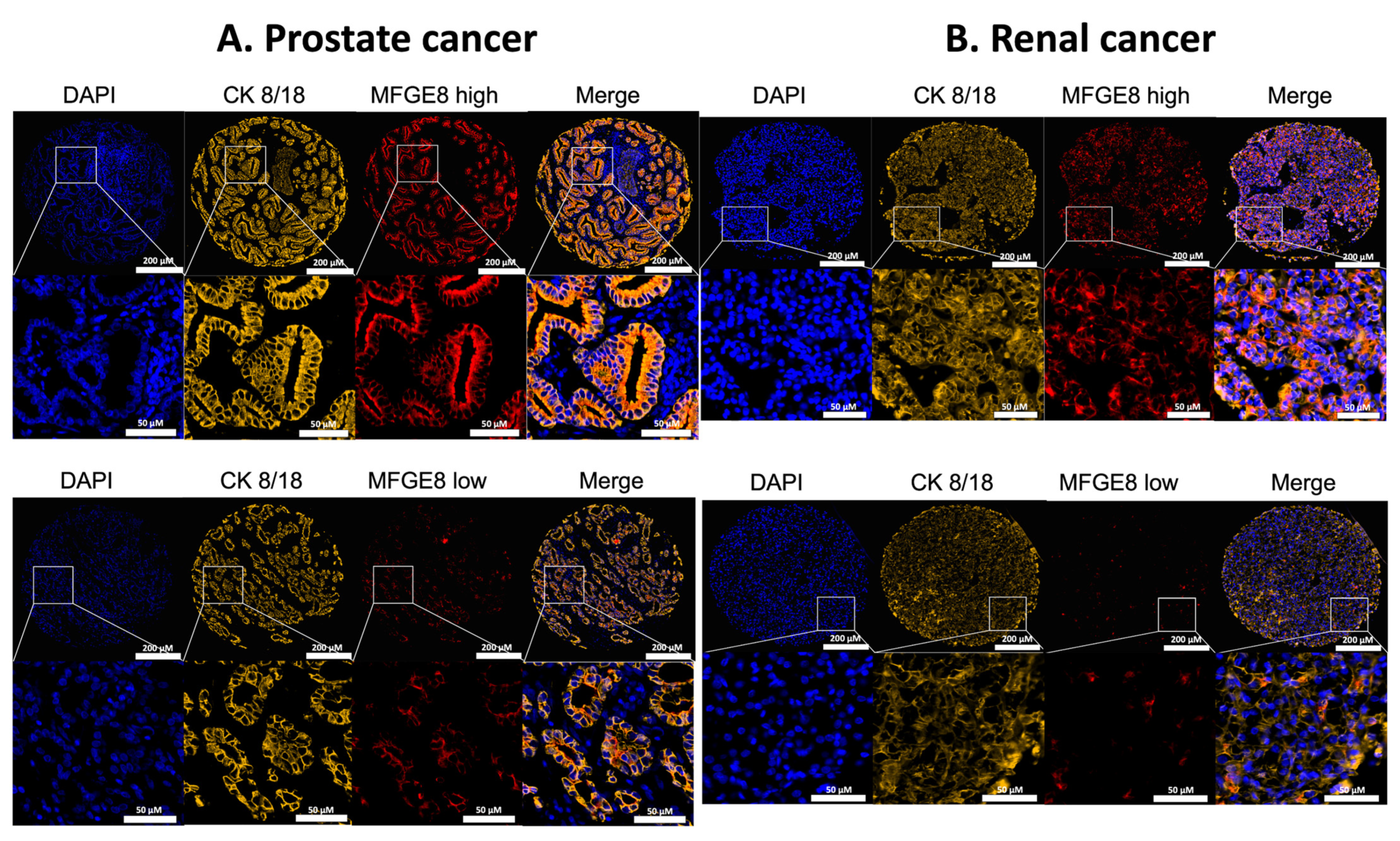Cancers 14 02790 g001 550