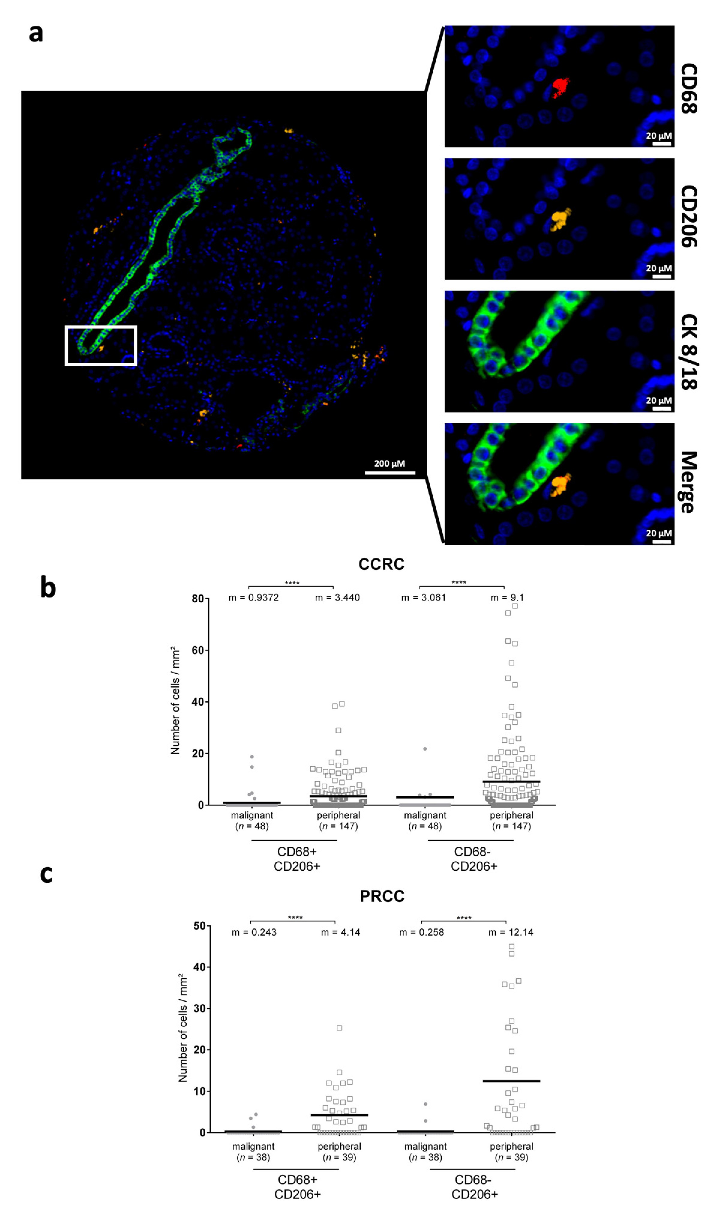 Cancers 14 02790 g004 550