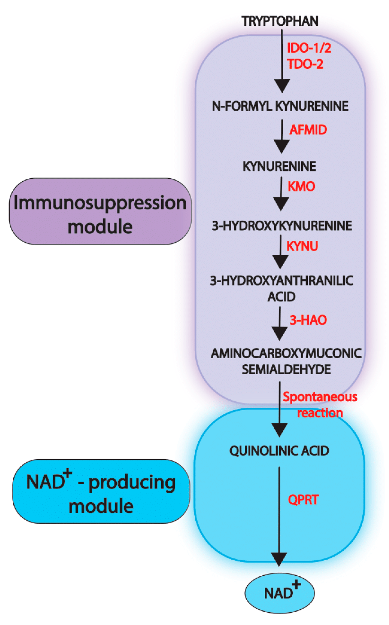 Cancers 14 02793 g001