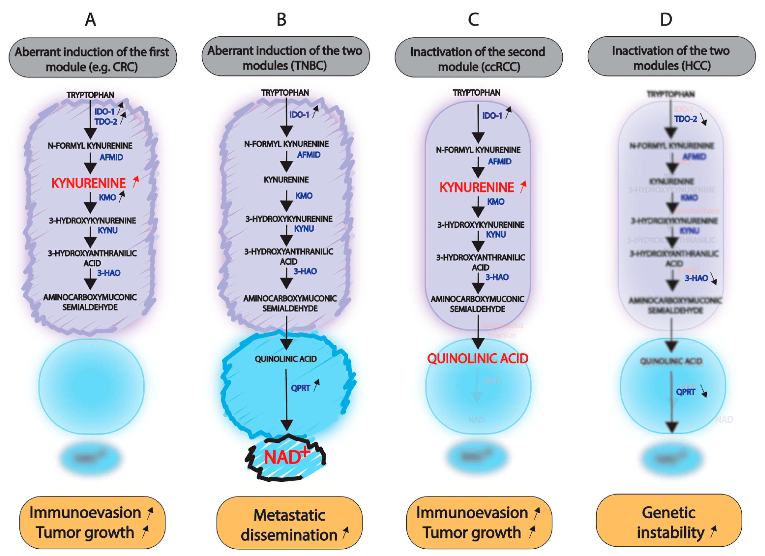Cancers 14 02793 g003
