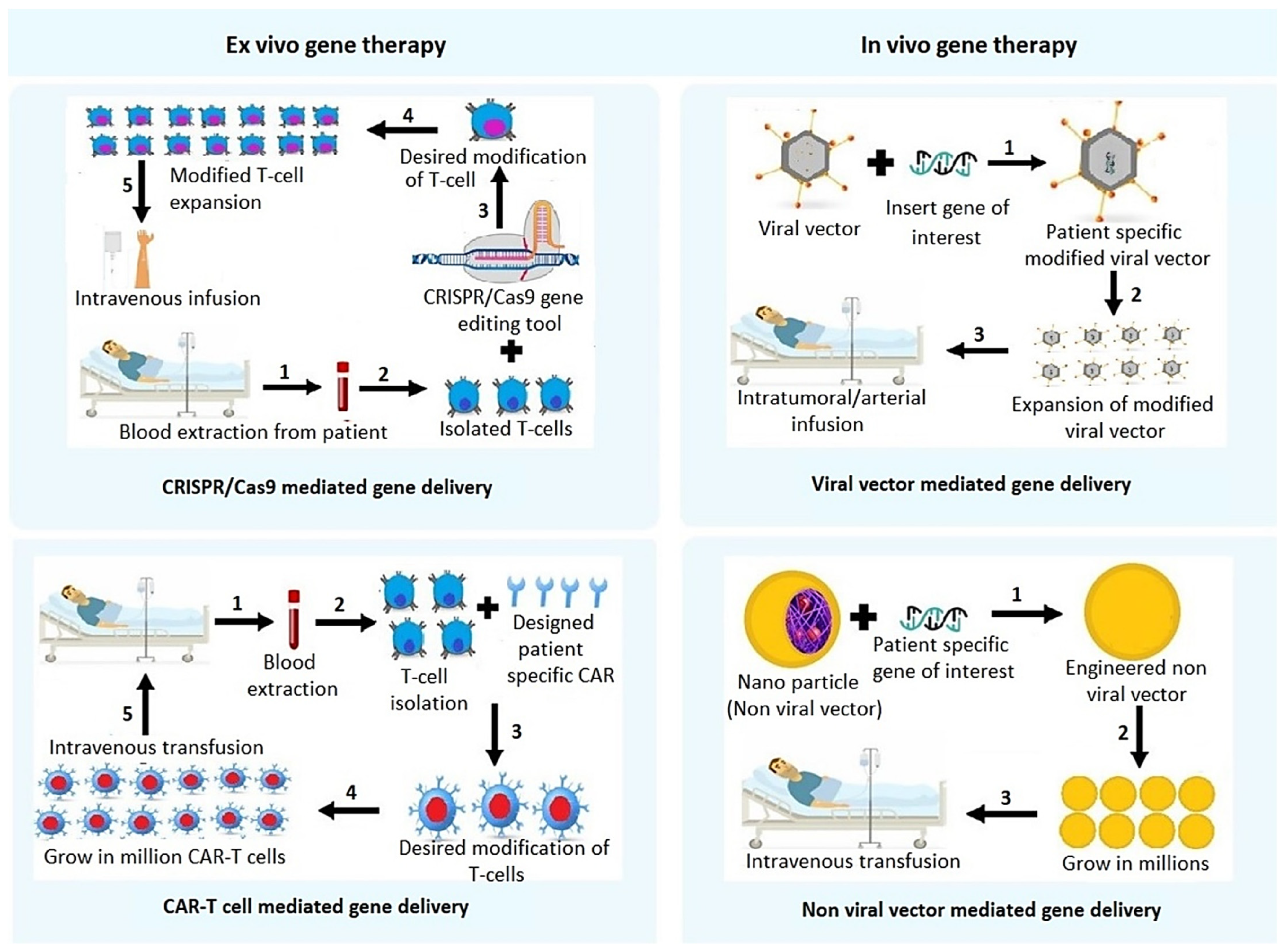 Cancers 14 02798 g001