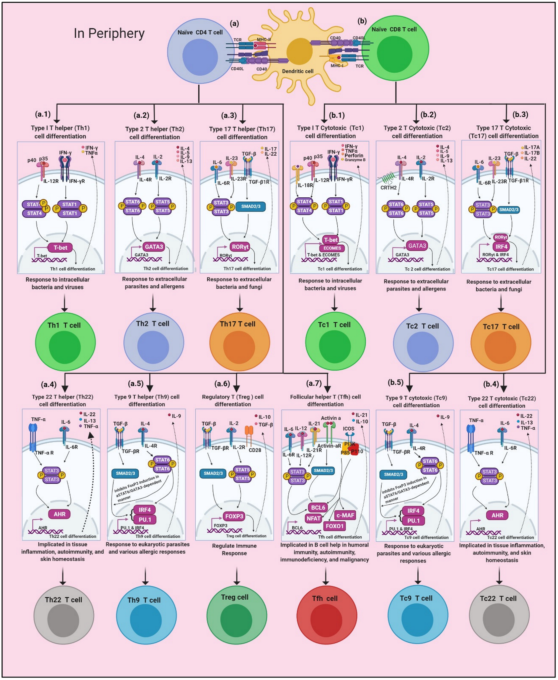 Cancers 14 02799 g001