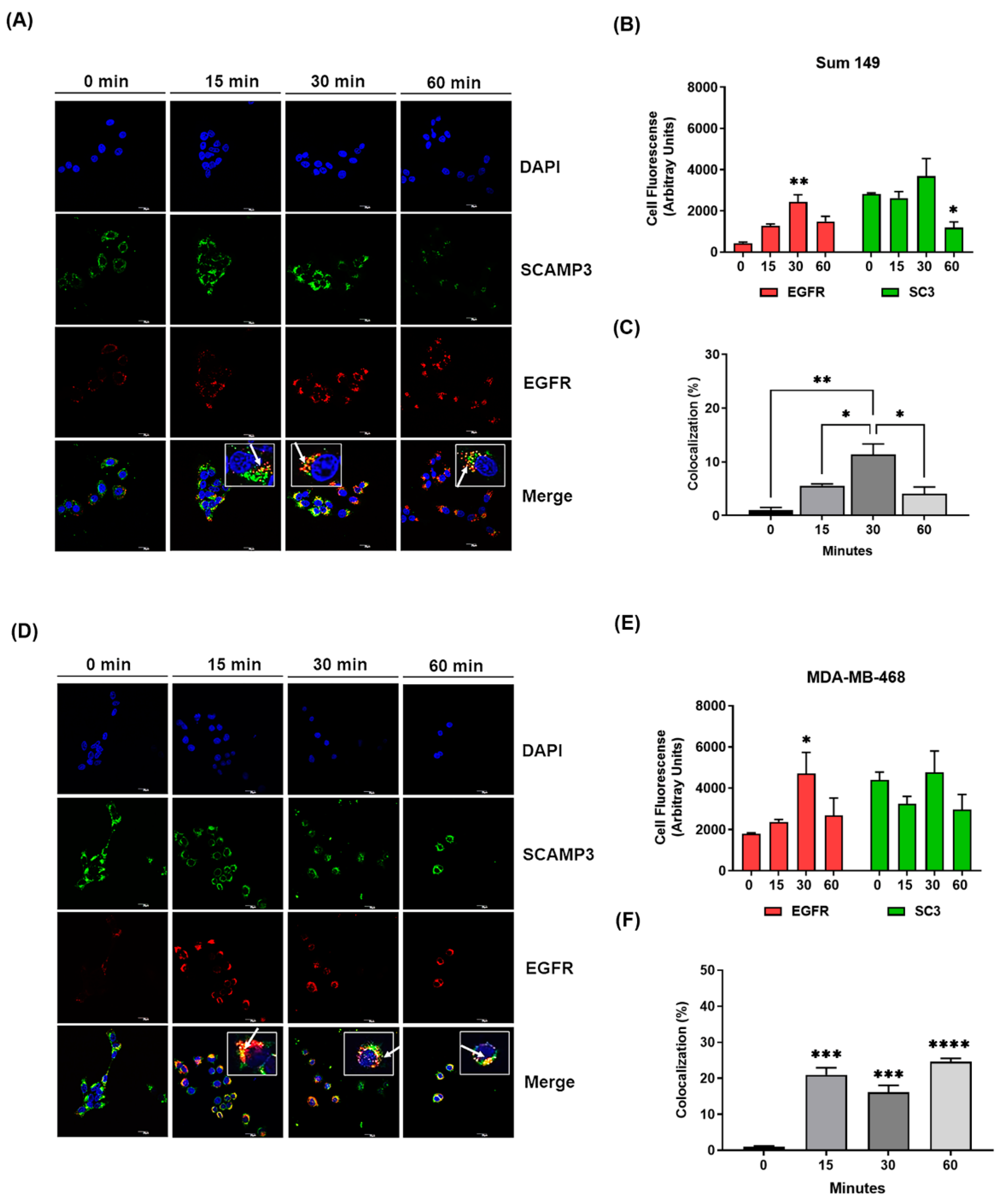 Cancers 14 02807 g004