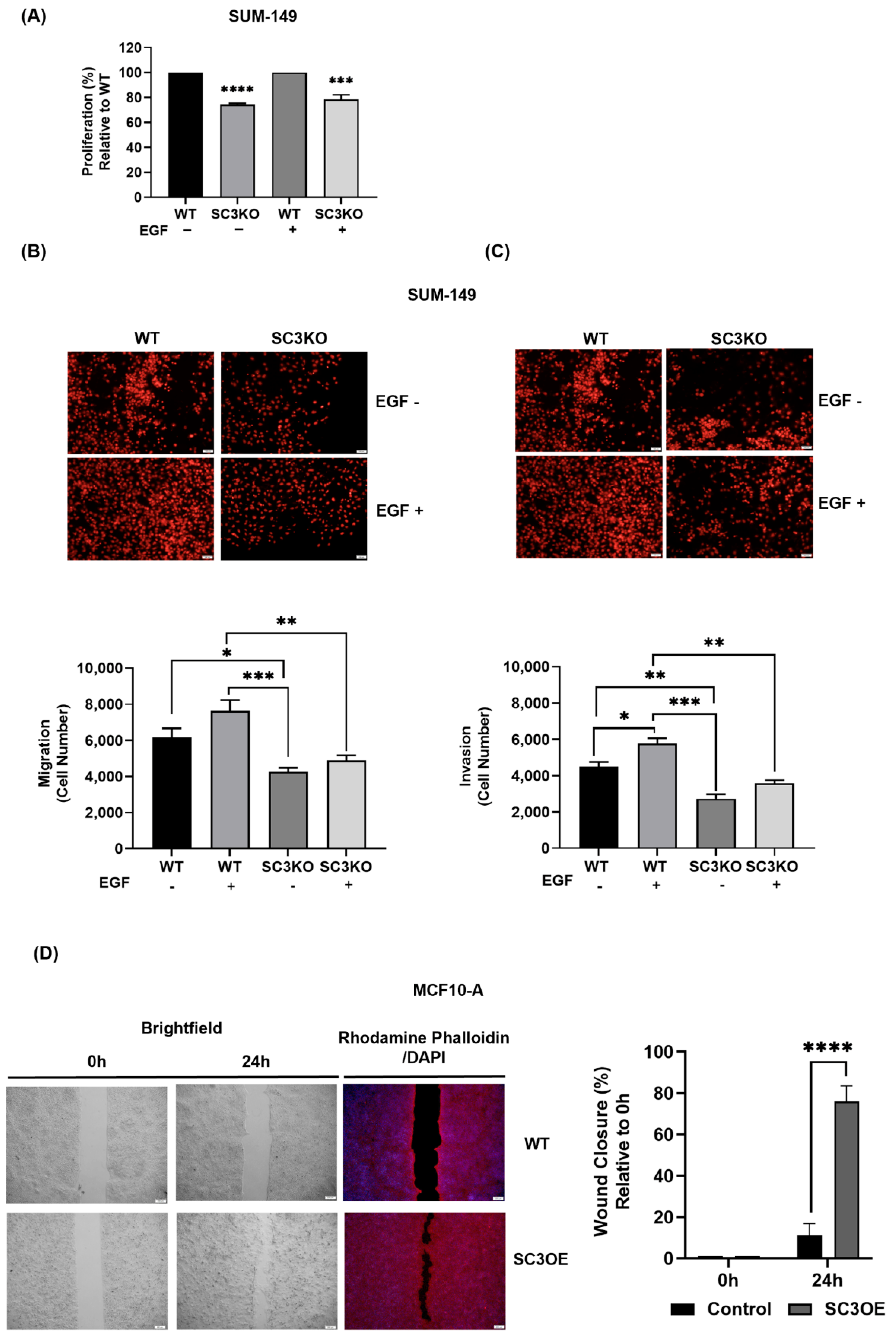 Cancers 14 02807 g005