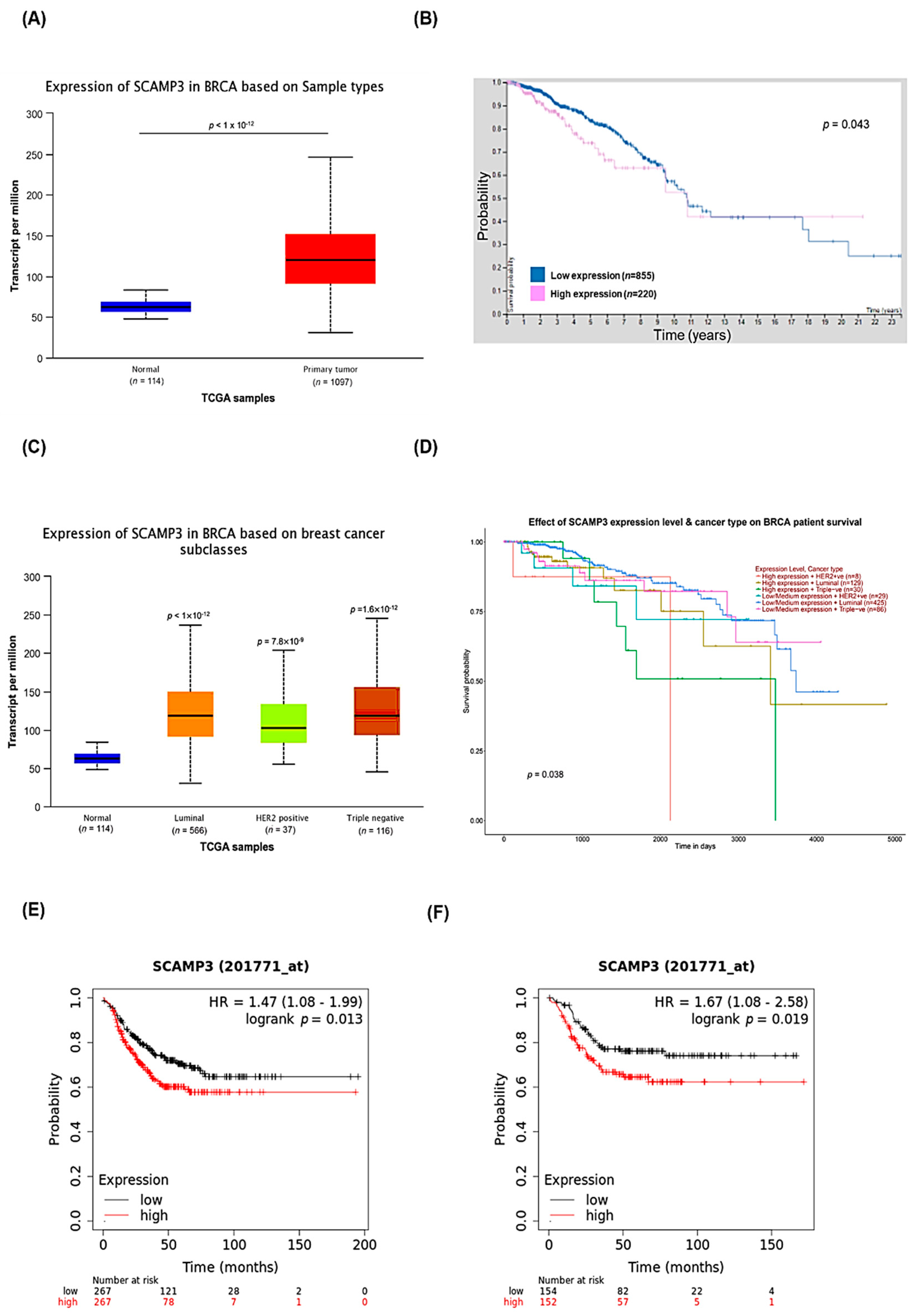 Cancers 14 02807 g007