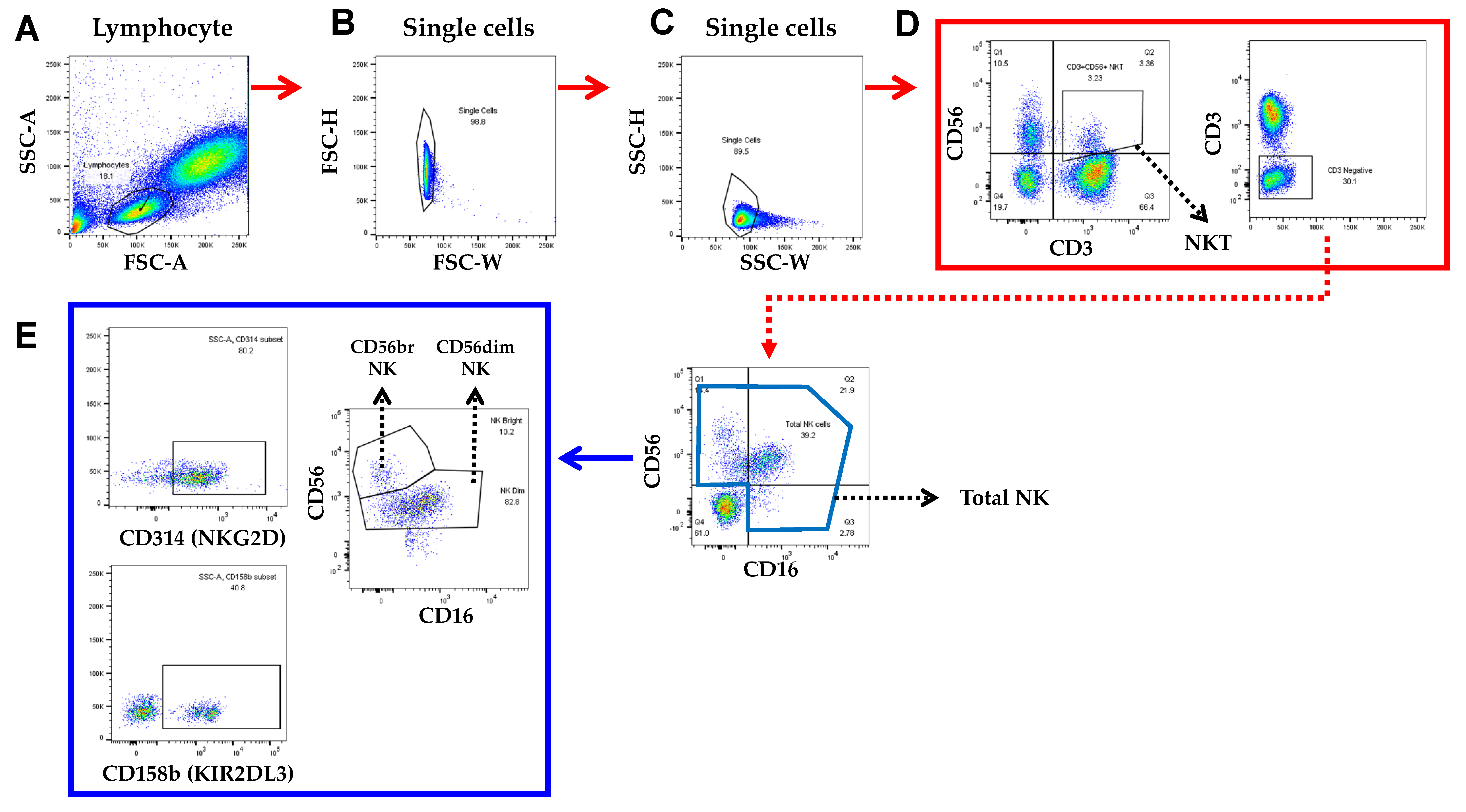 Cancers 14 02808 g002