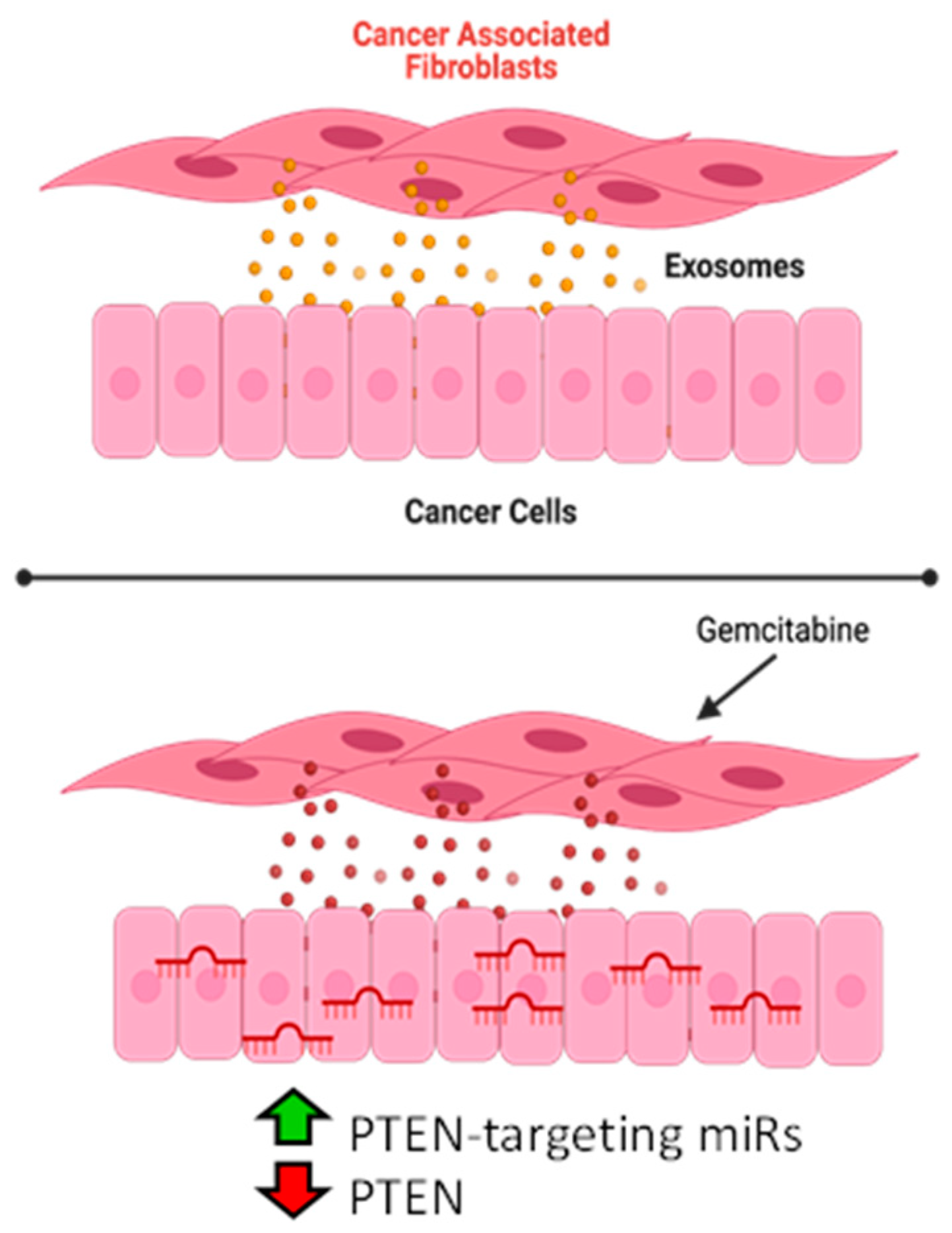 Cancers 14 02812 g006 550