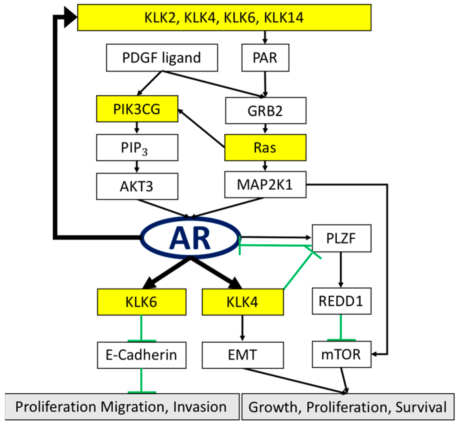 Cancers 14 02813 g001