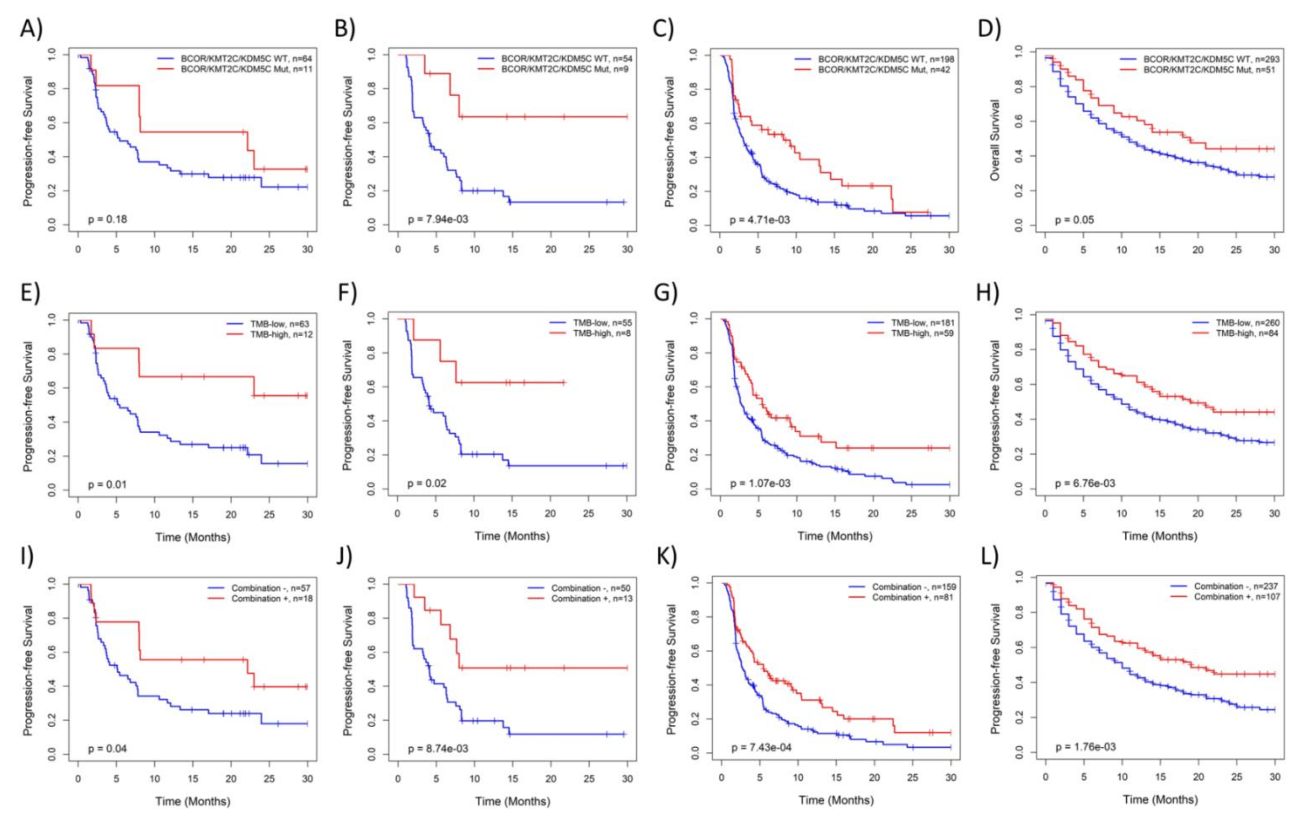 Cancers 14 02816 g003 Cancers 14 02816 g003