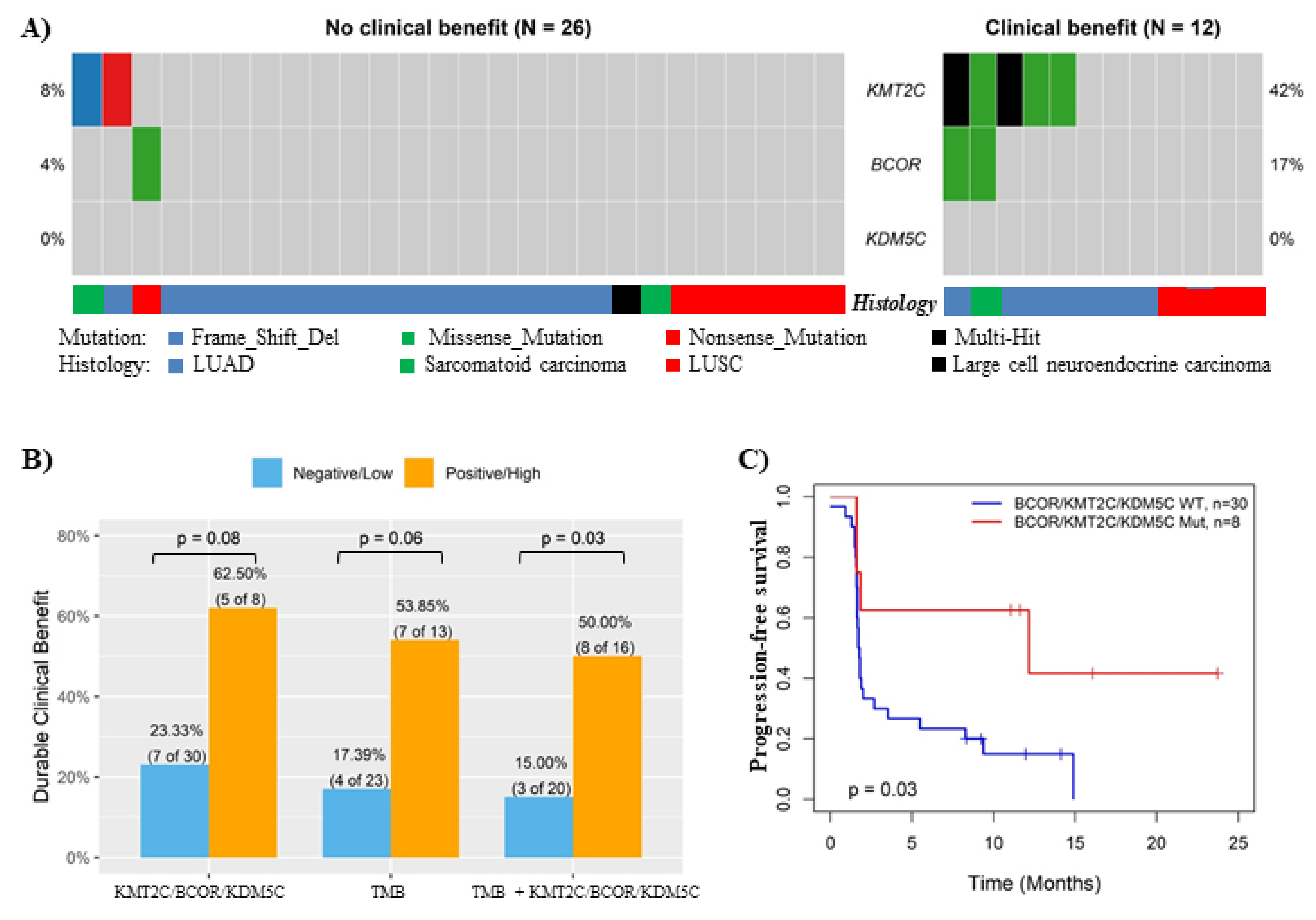 Cancers 14 02816 g004 Cancers 14 02816 g004