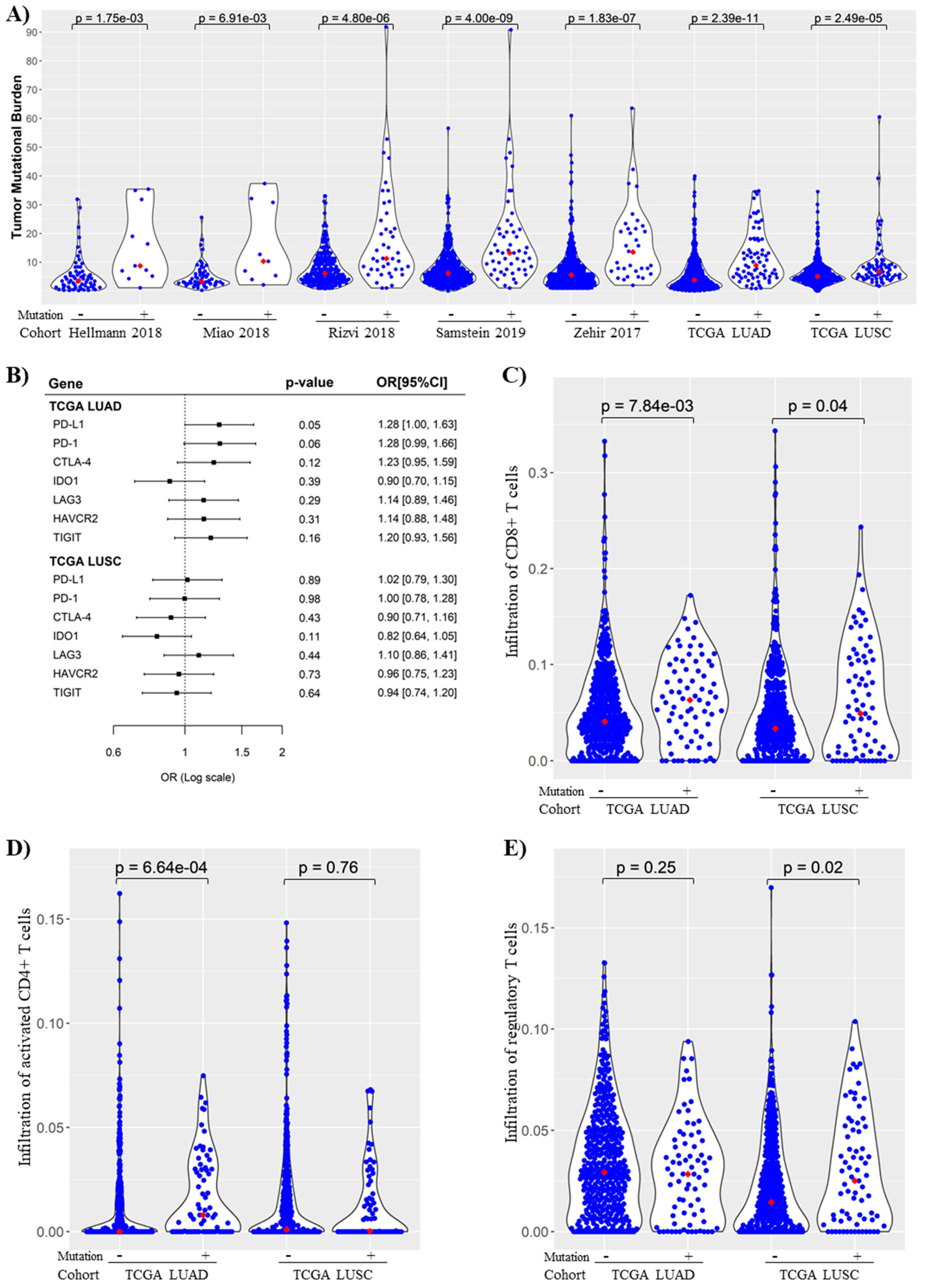 Cancers 14 02816 g006 Cancers 14 02816 g006