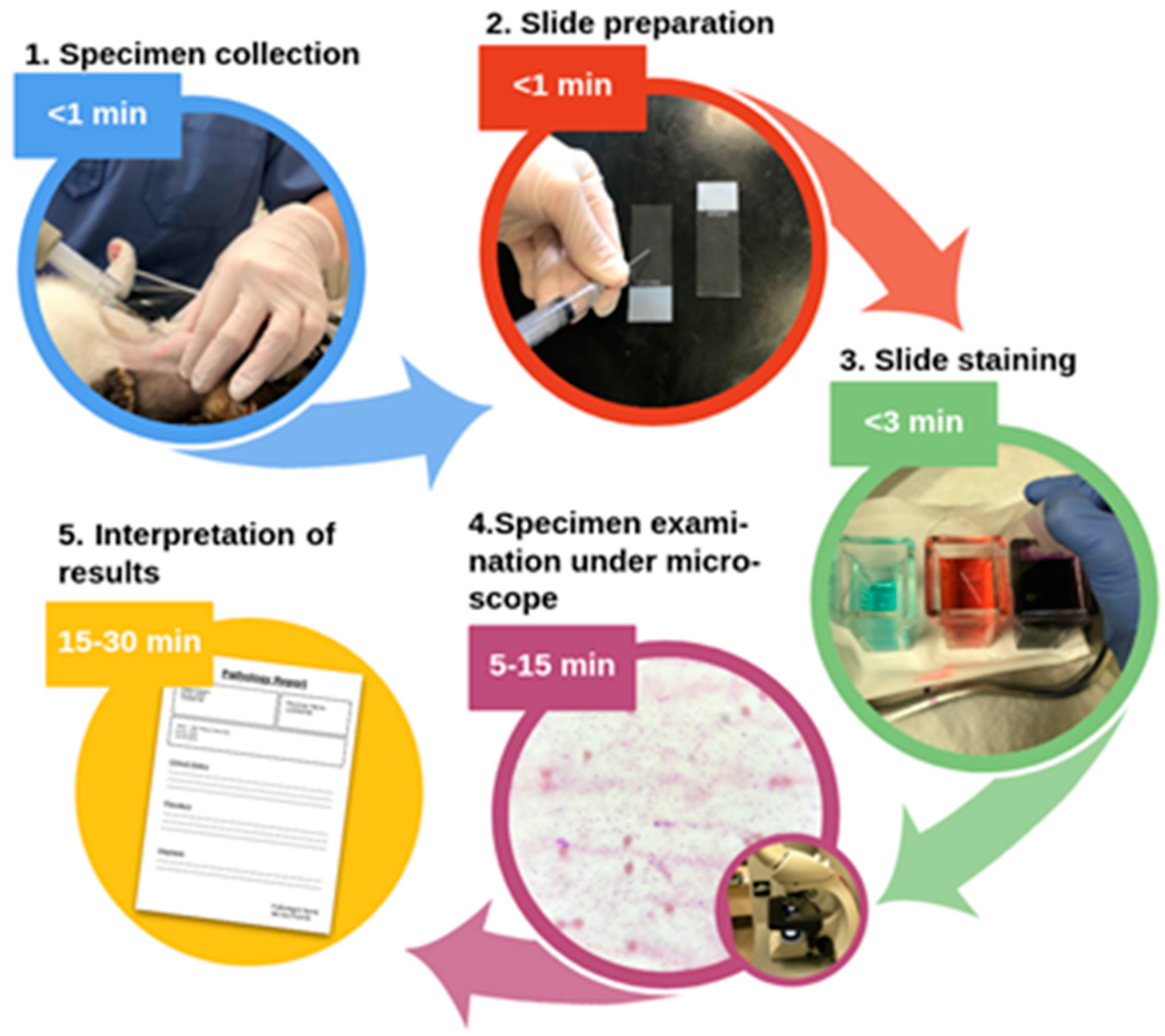 Cancers 14 02820 g001