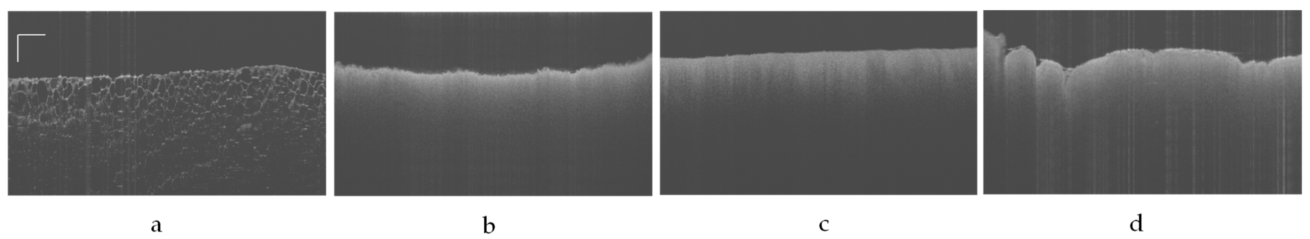 Cancers 14 02820 g003