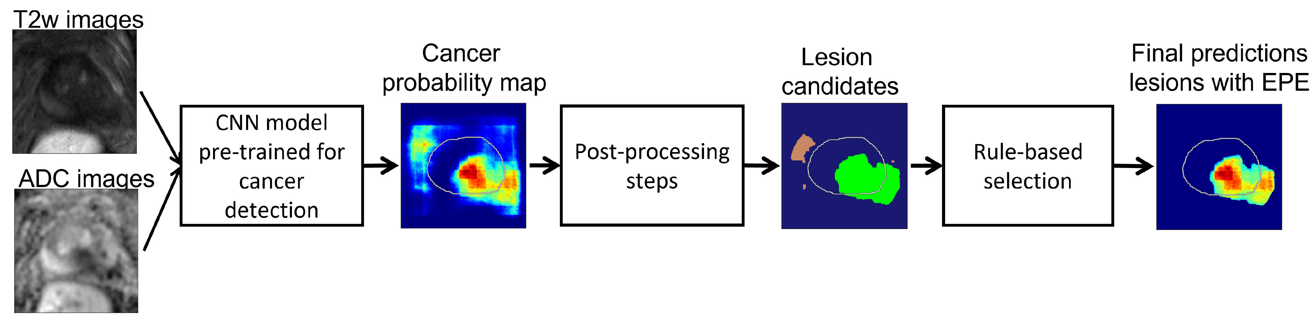 Cancers 14 02821 g001