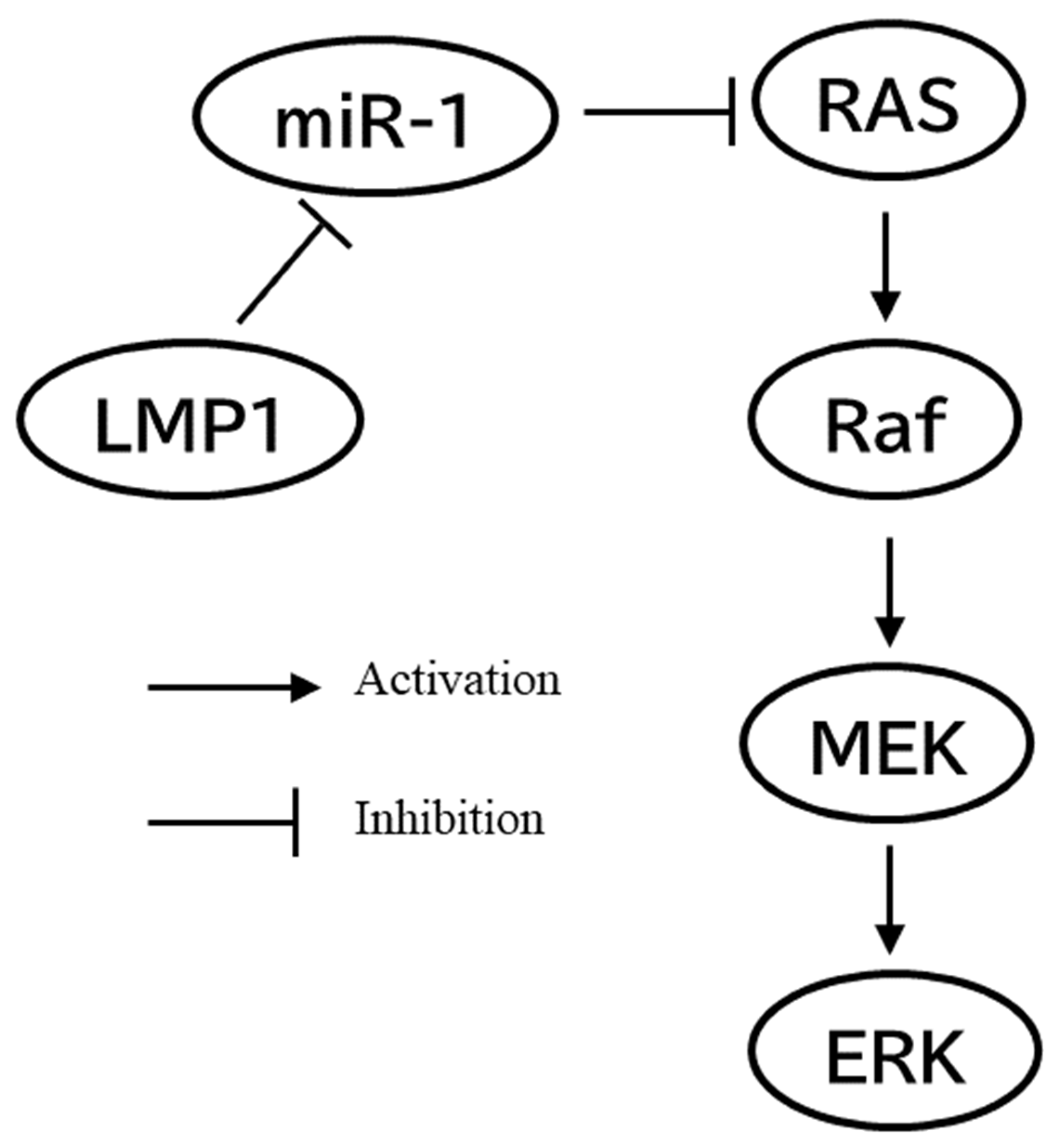 Cancers 14 02826 g002