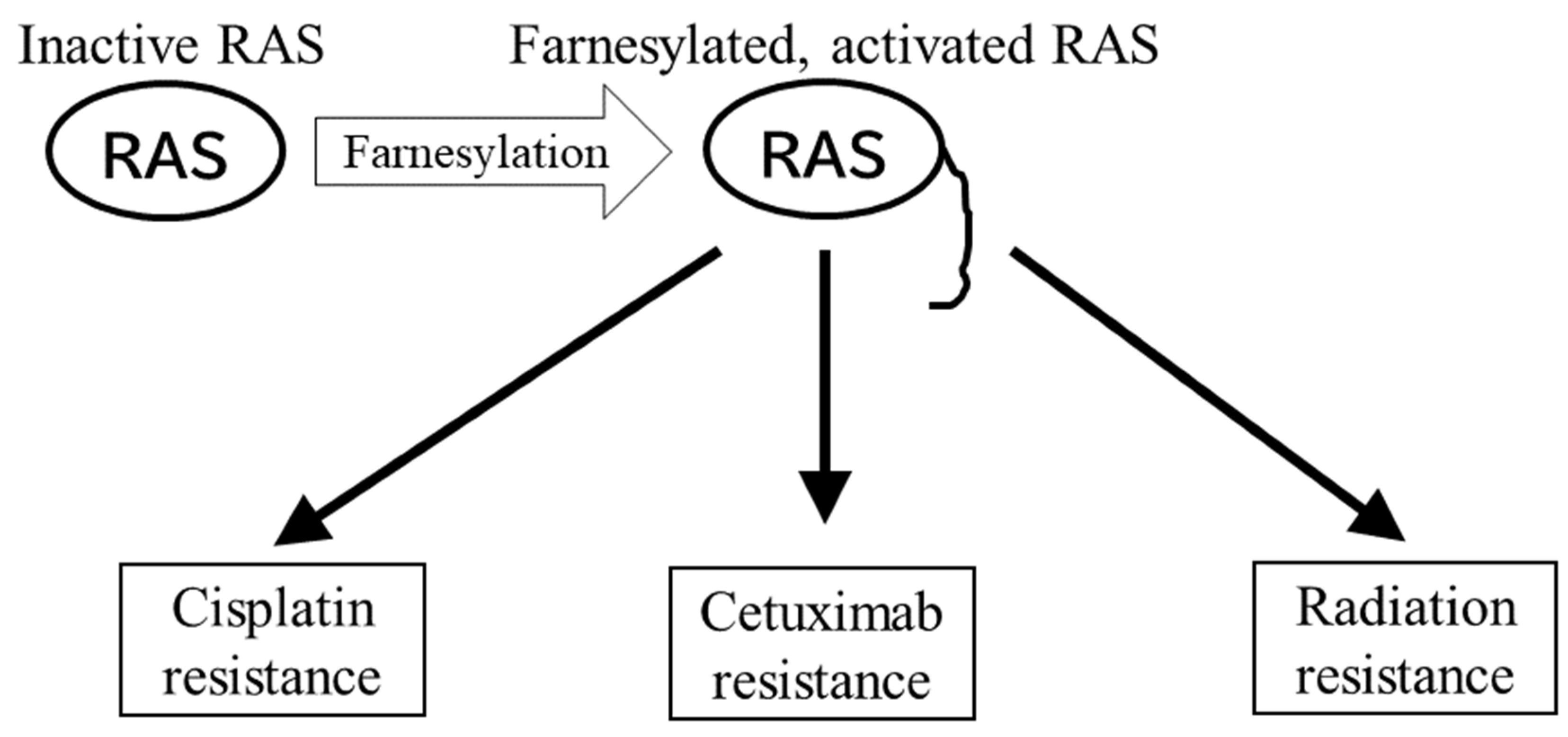Cancers 14 02826 g003
