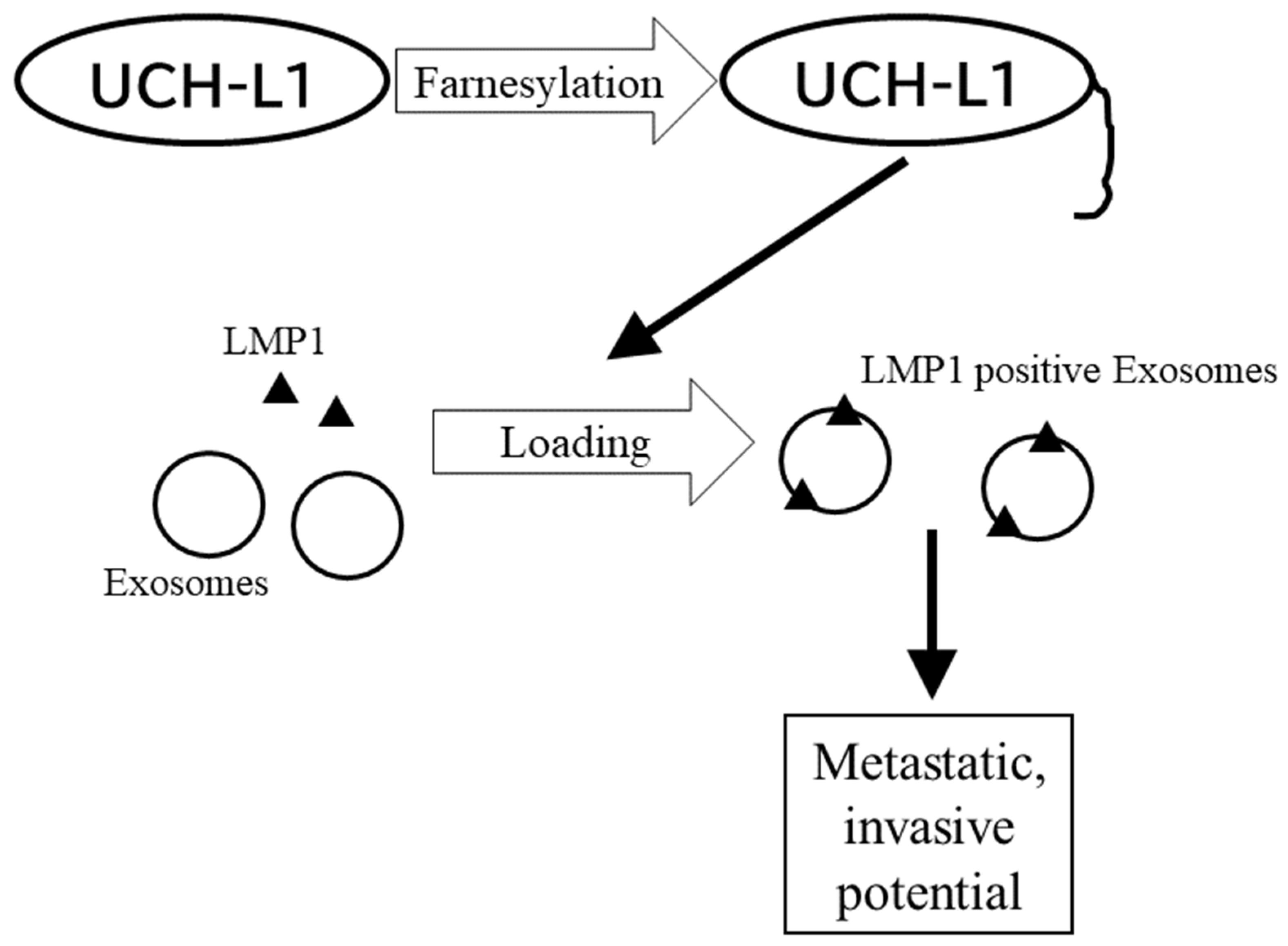 Cancers 14 02826 g004