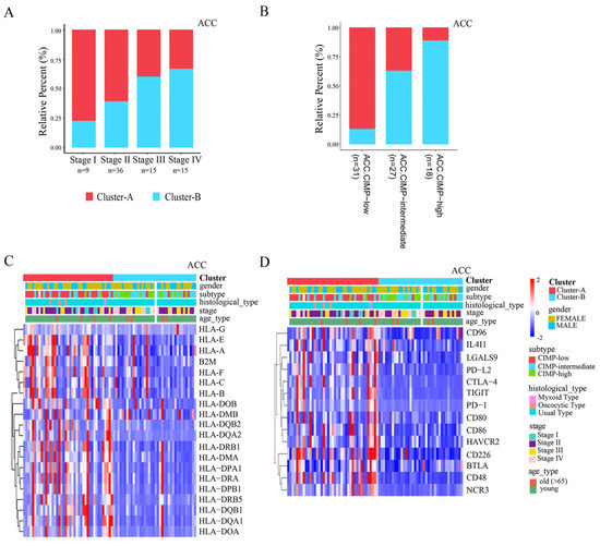 APOBEC Alteration Contributes to Tumor Growth and Immune Escape in